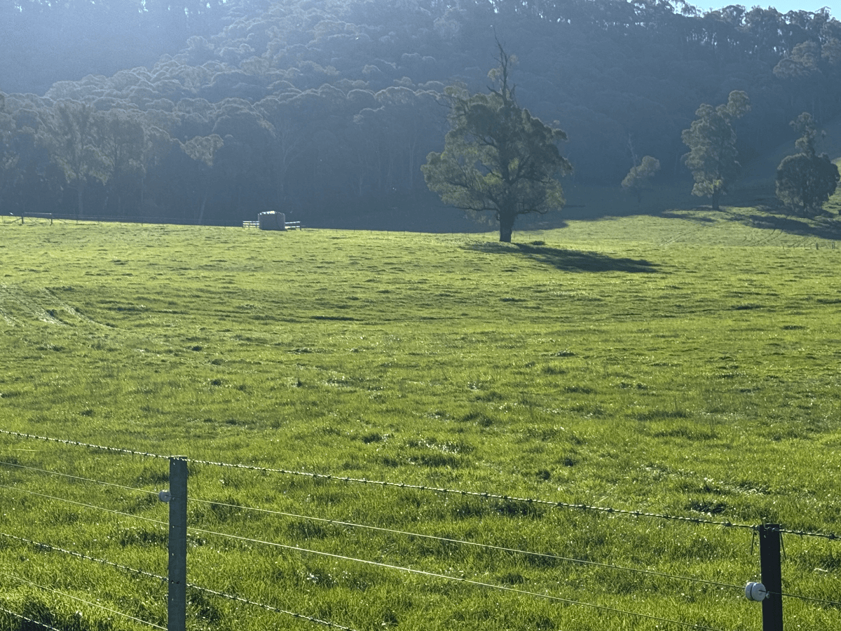 40 Simpsons Creek Track, Nariel Valley - Thumbnail 6
