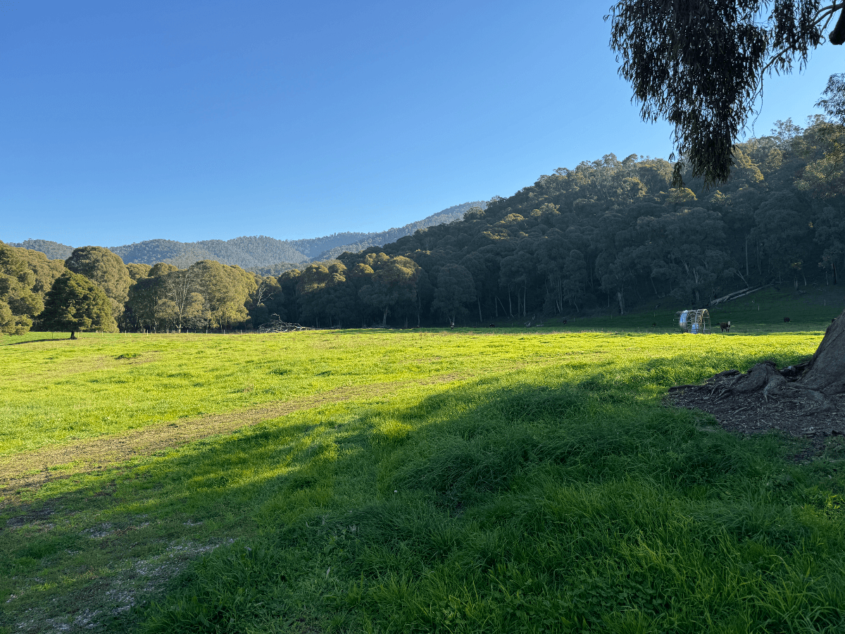 40 Simpsons Creek Track, Nariel Valley - Thumbnail 7