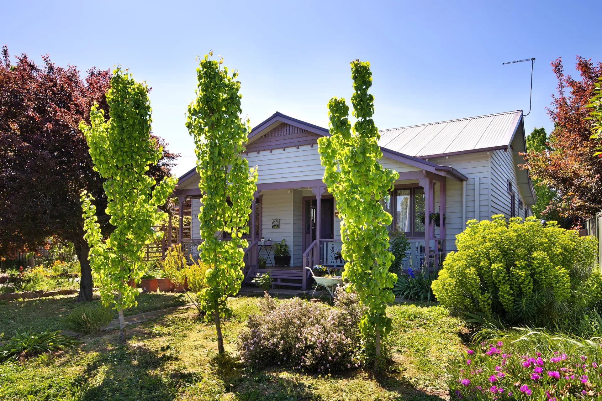 195 Main Road, Campbells Creek, VIC, Campbells Creek - Image 1