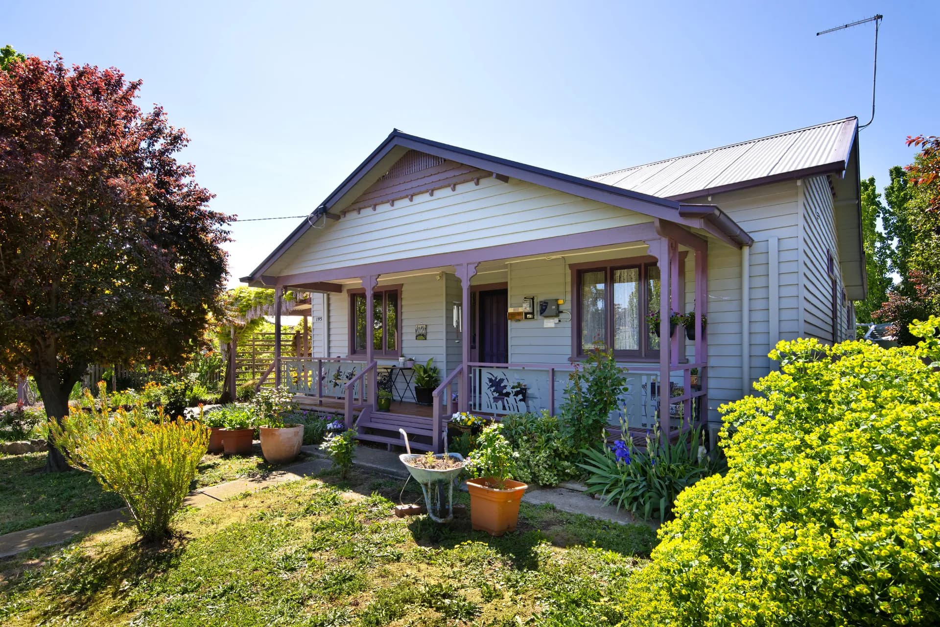 195 Main Road, Campbells Creek, VIC, Campbells Creek - Thumbnail 2