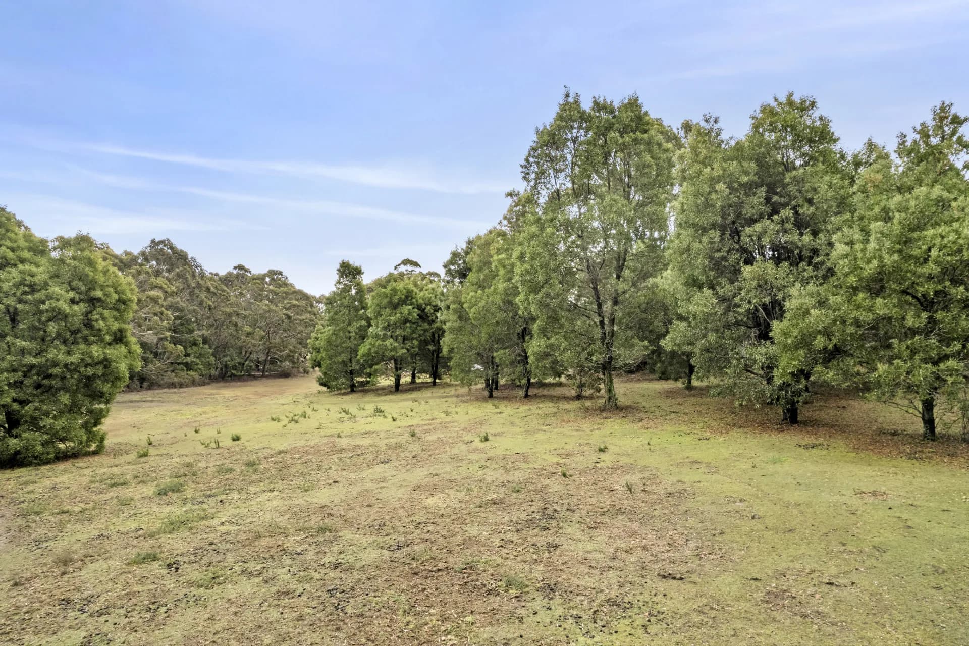 6 Mullens  Road, Trentham, VIC, Trentham - Thumbnail 2