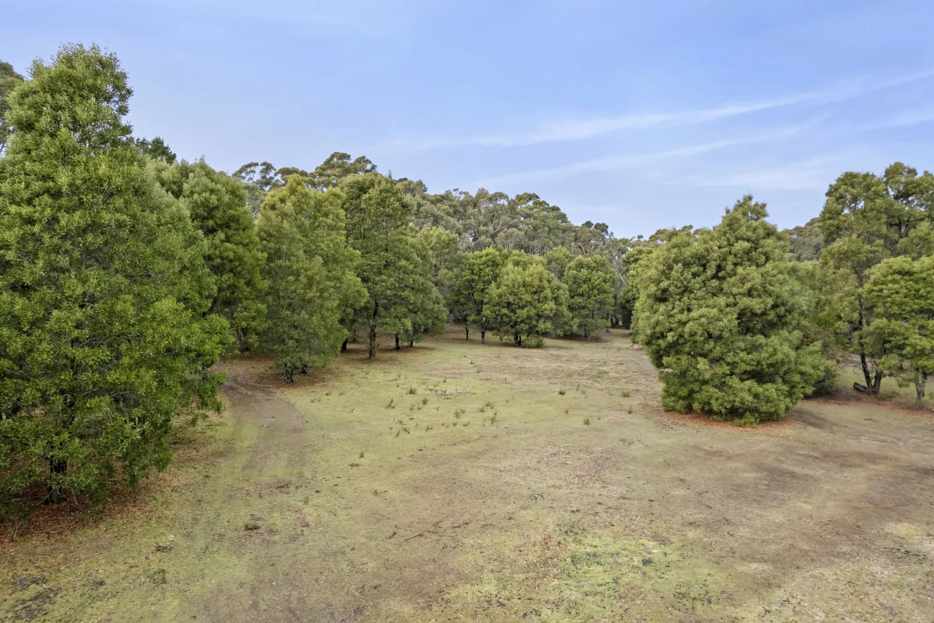 6 Mullens  Road, Trentham, VIC, Trentham - Thumbnail 3