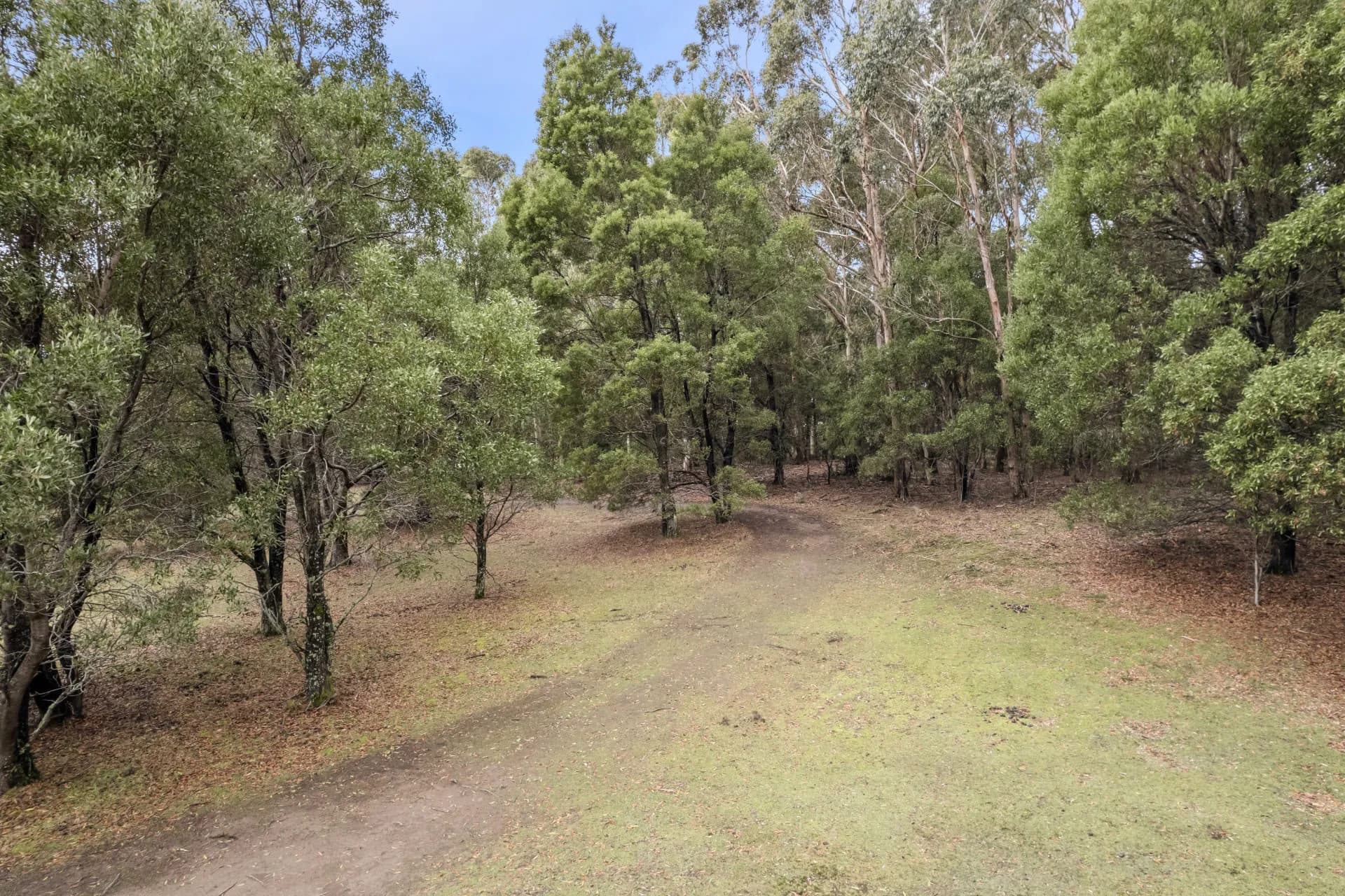 6 Mullens  Road, Trentham, VIC, Trentham - Thumbnail 4