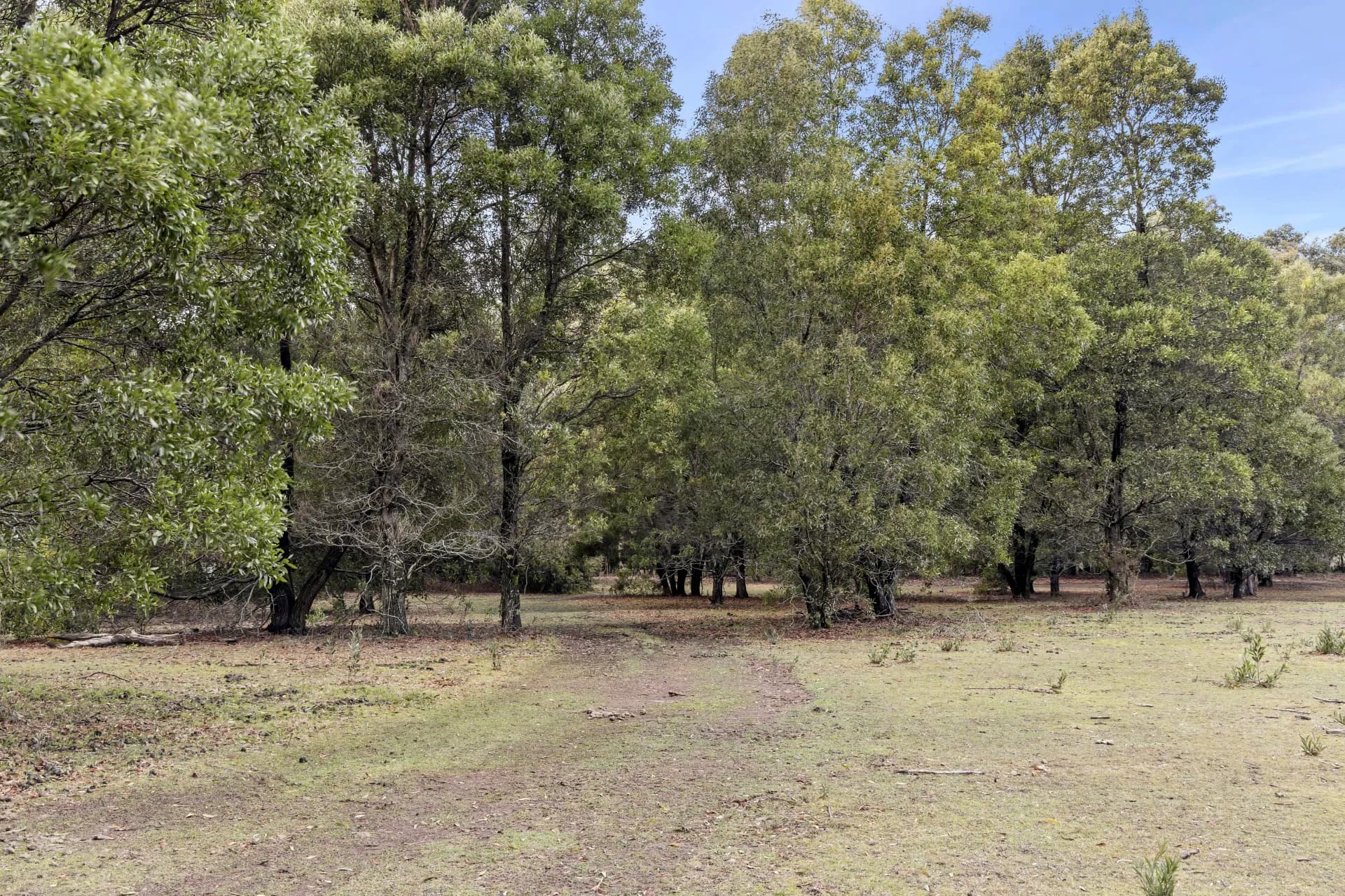 6 Mullens  Road, Trentham, VIC, Trentham - Thumbnail 5