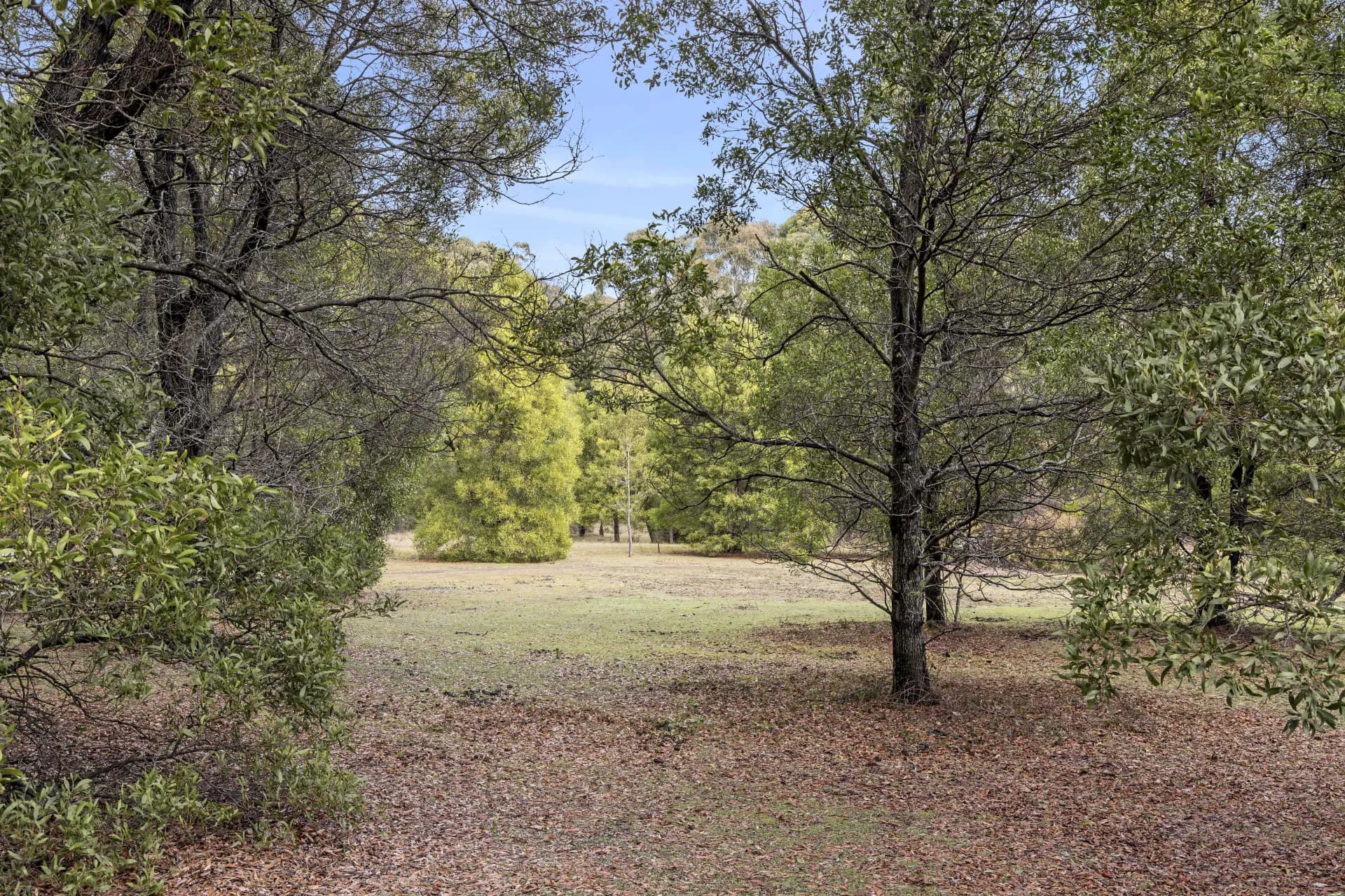 6 Mullens  Road, Trentham, VIC, Trentham - Thumbnail 7
