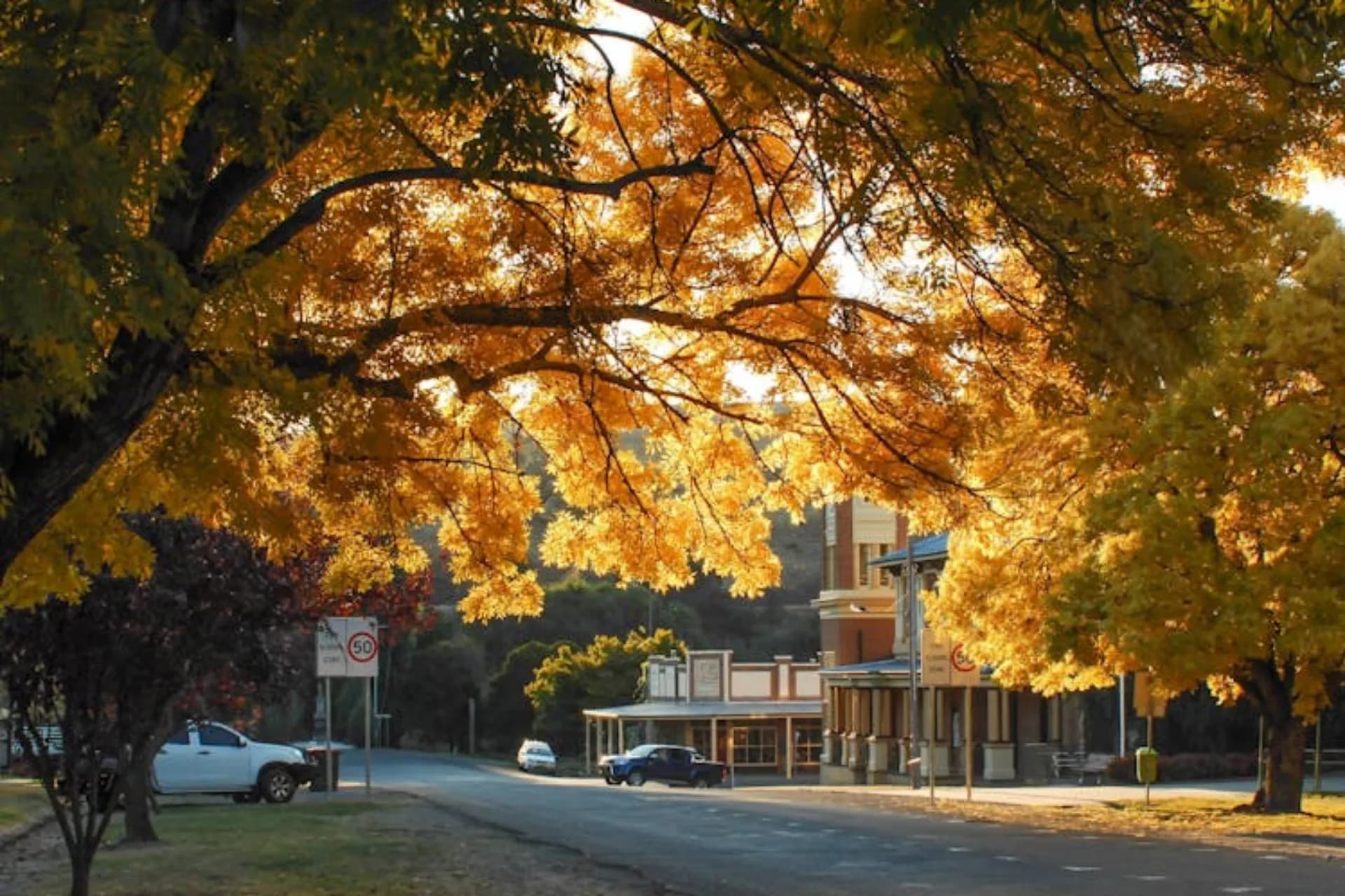 1A Rothery Street, Carcoar - Thumbnail 7