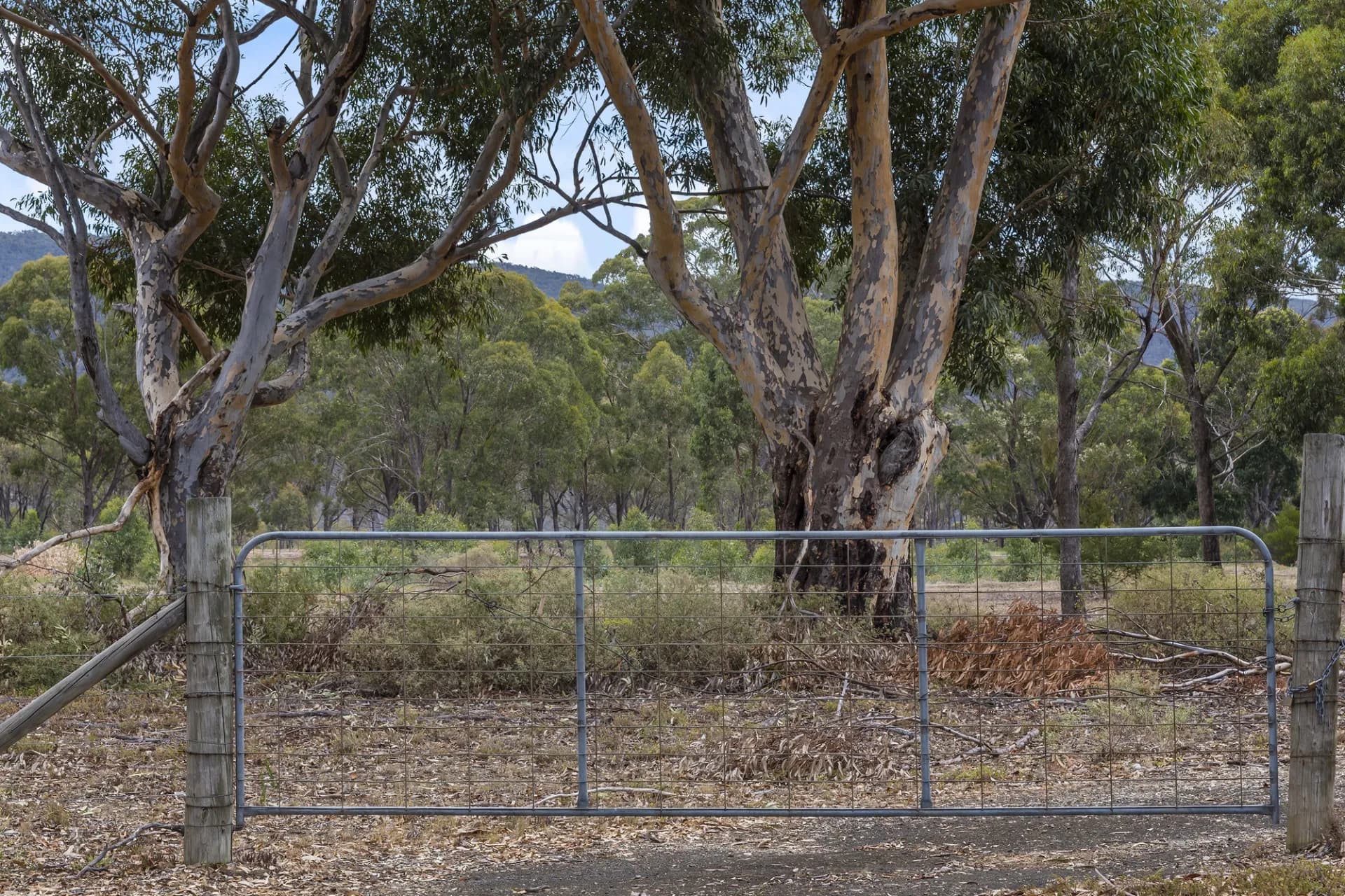 151 Camerons Road, Darley, VIC, Darley - Thumbnail 3