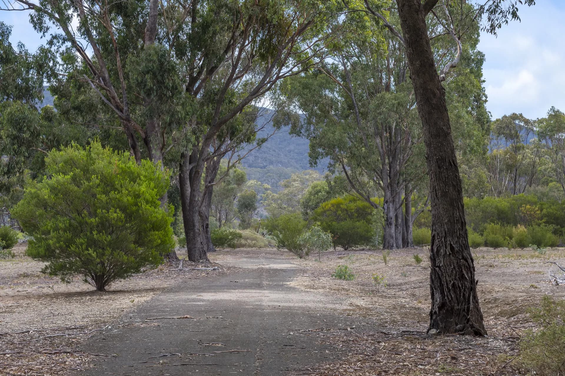 151 Camerons Road, Darley, VIC, Darley - Thumbnail 4