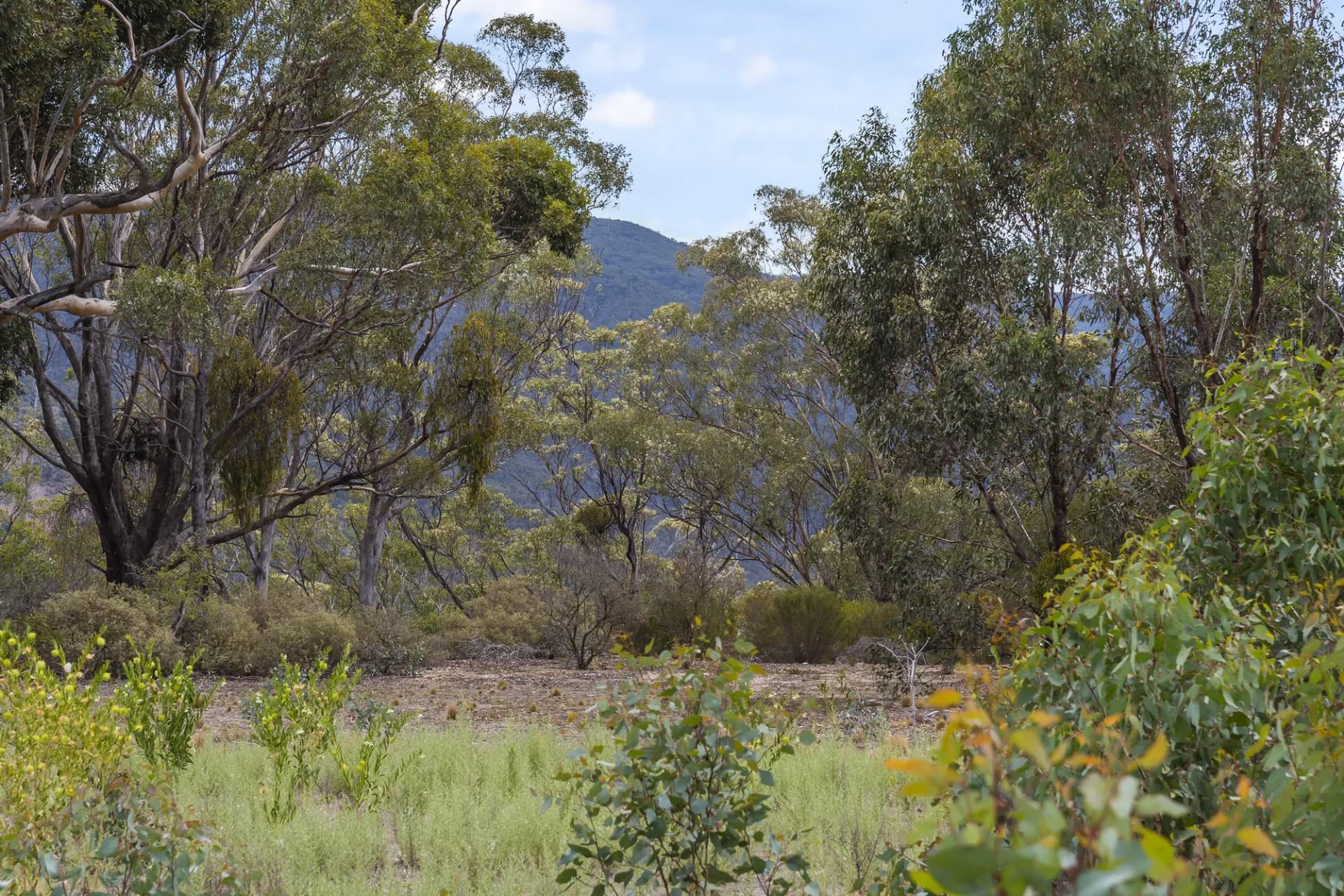 151 Camerons Road, Darley, VIC, Darley - Thumbnail 6