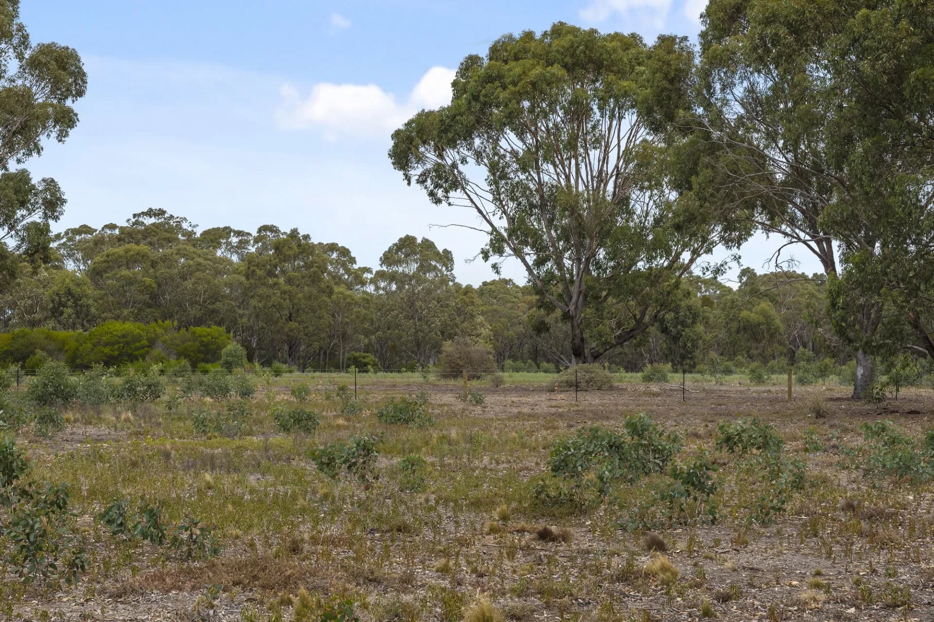 151 Camerons Road, Darley, VIC, Darley - Thumbnail 7