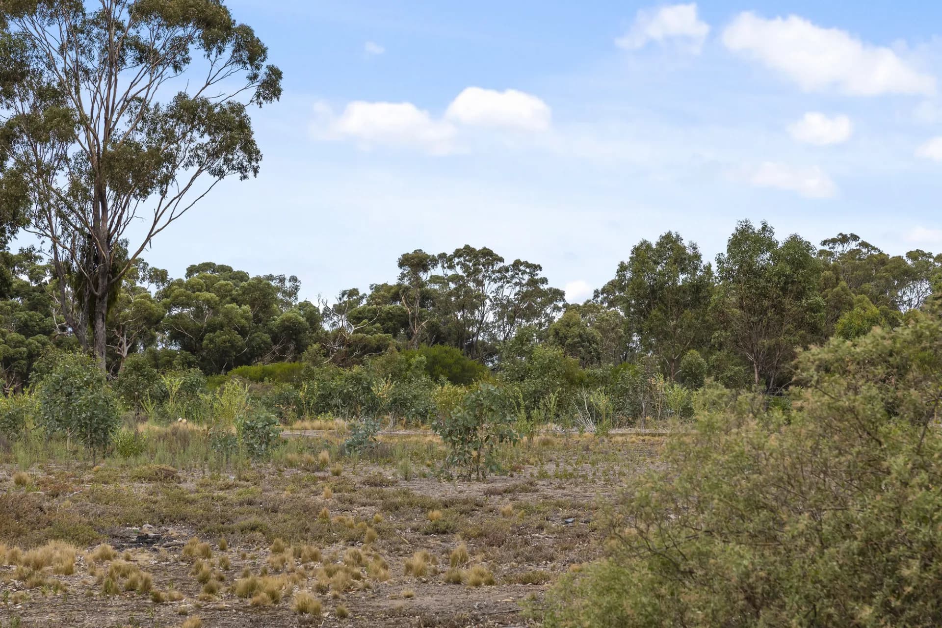 151 Camerons Road, Darley, VIC, Darley - Thumbnail 8