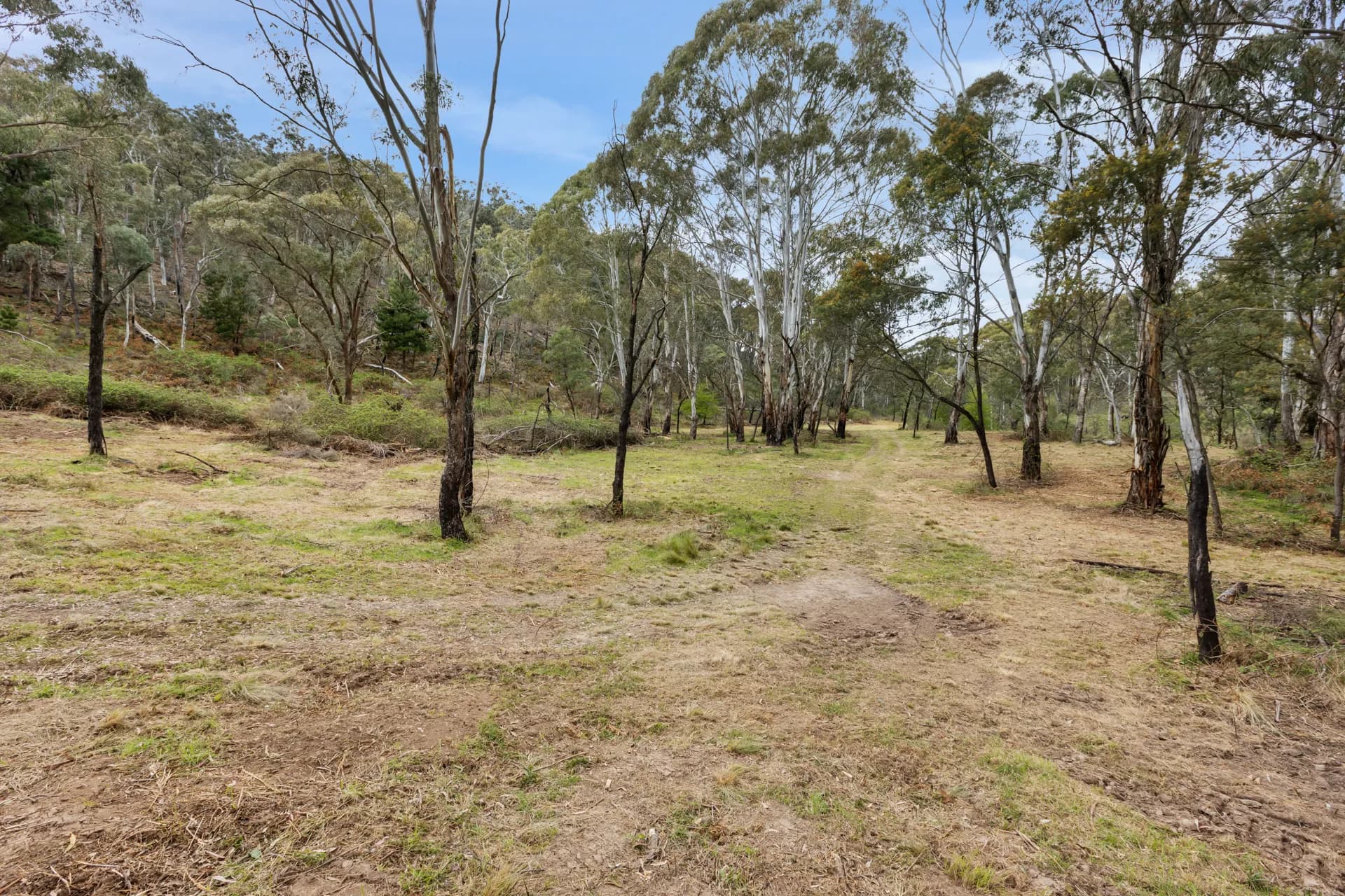 Lot 86 Ophir Road, Orange, NSW, Orange - Thumbnail 3