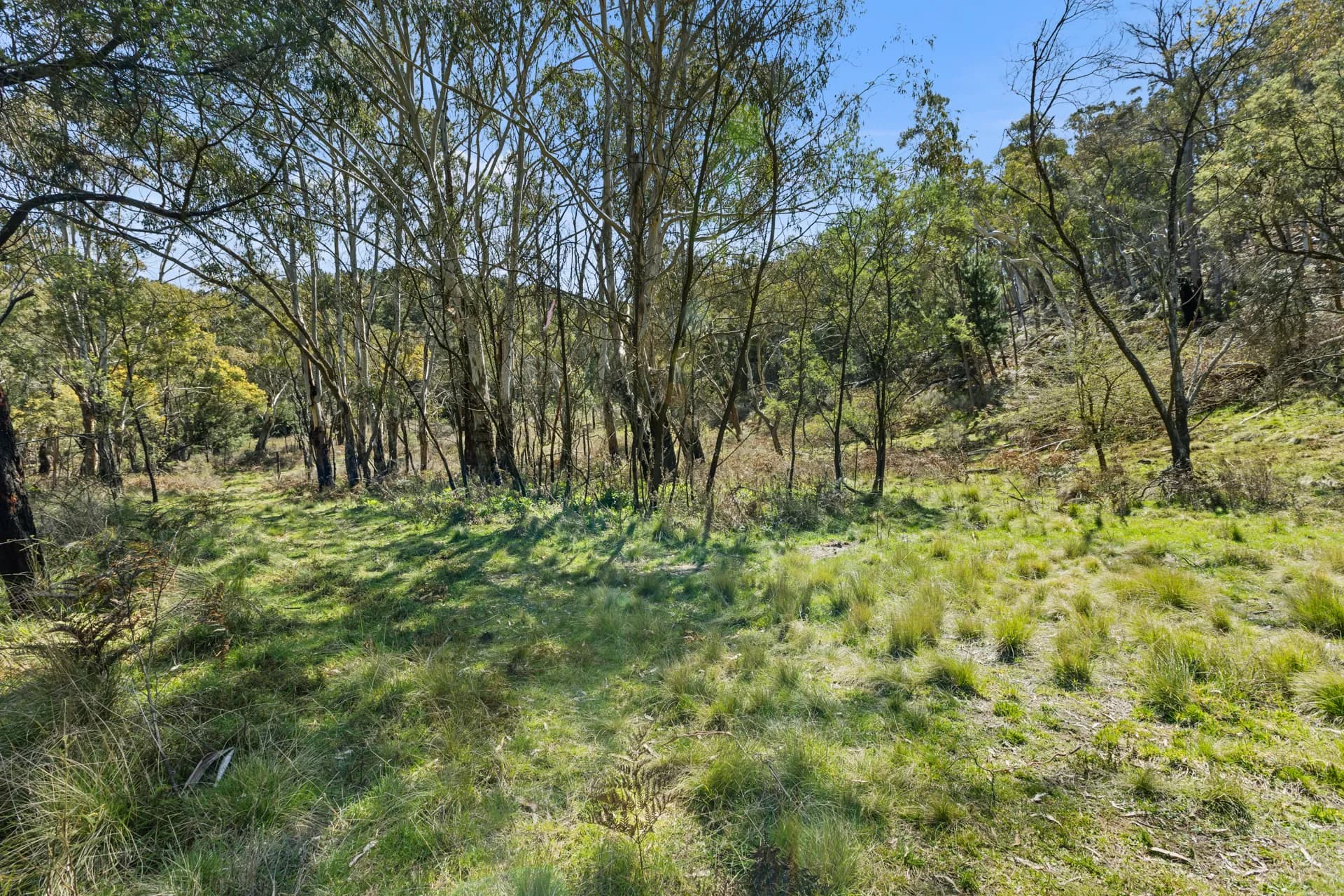 Lot 86 Ophir Road, Orange, NSW, Orange - Thumbnail 4