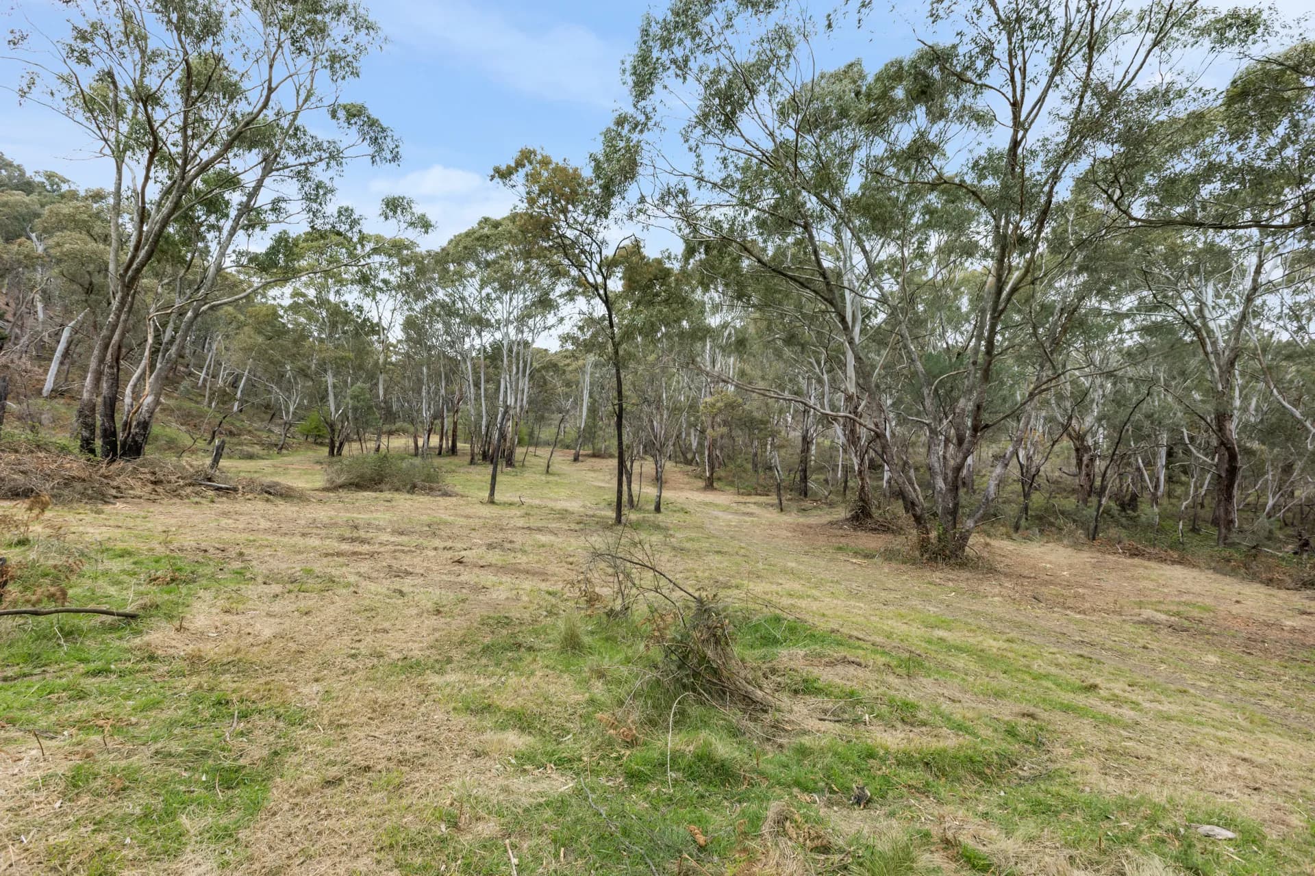 Lot 86 Ophir Road, Orange, NSW, Orange - Thumbnail 5
