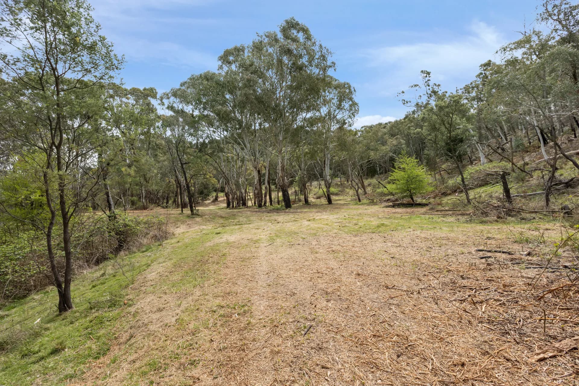 Lot 86 Ophir Road, Orange, NSW, Orange - Thumbnail 6