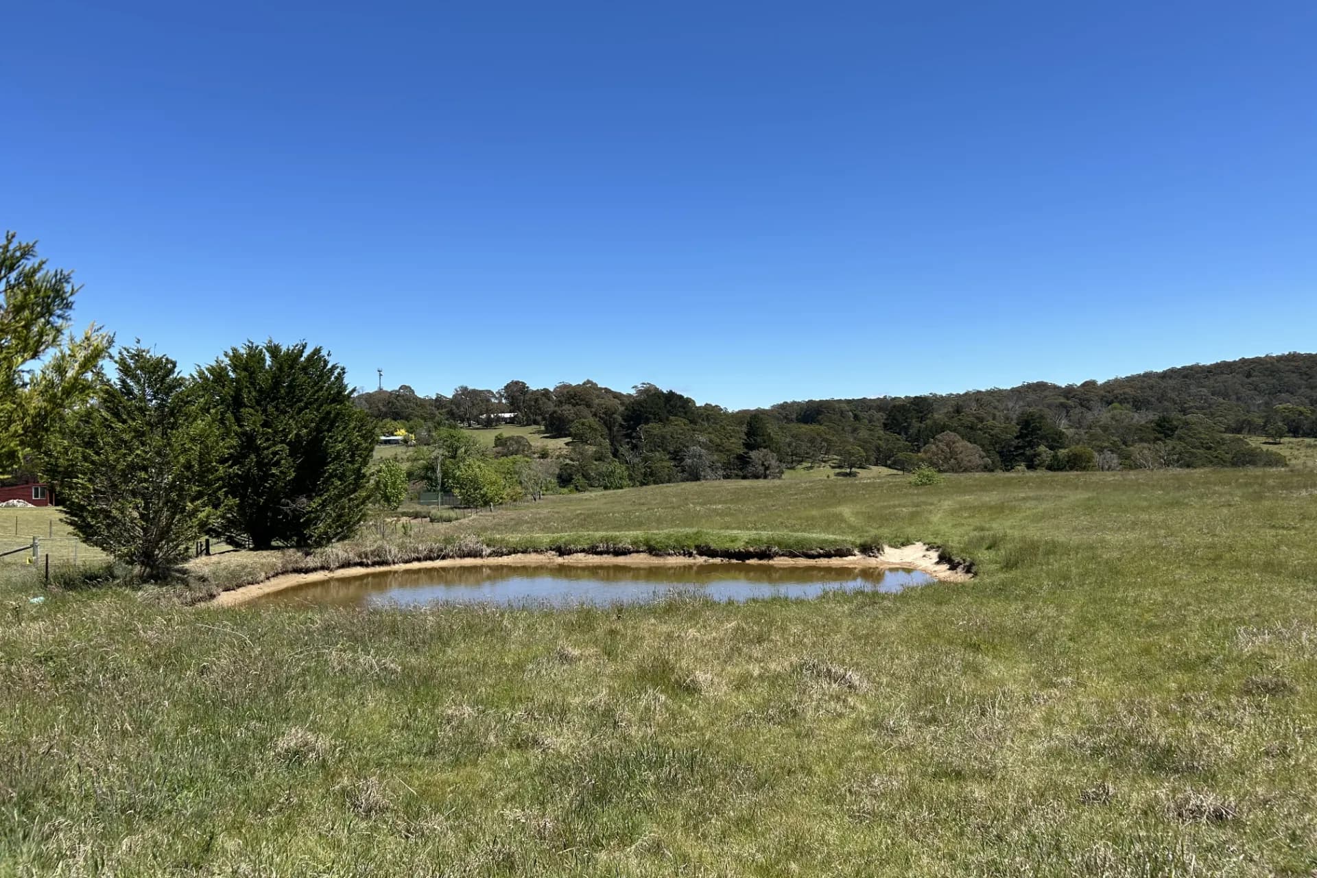 1202 Majors Creek Road, Majors Creek, NSW, Majors Creek - Thumbnail 2
