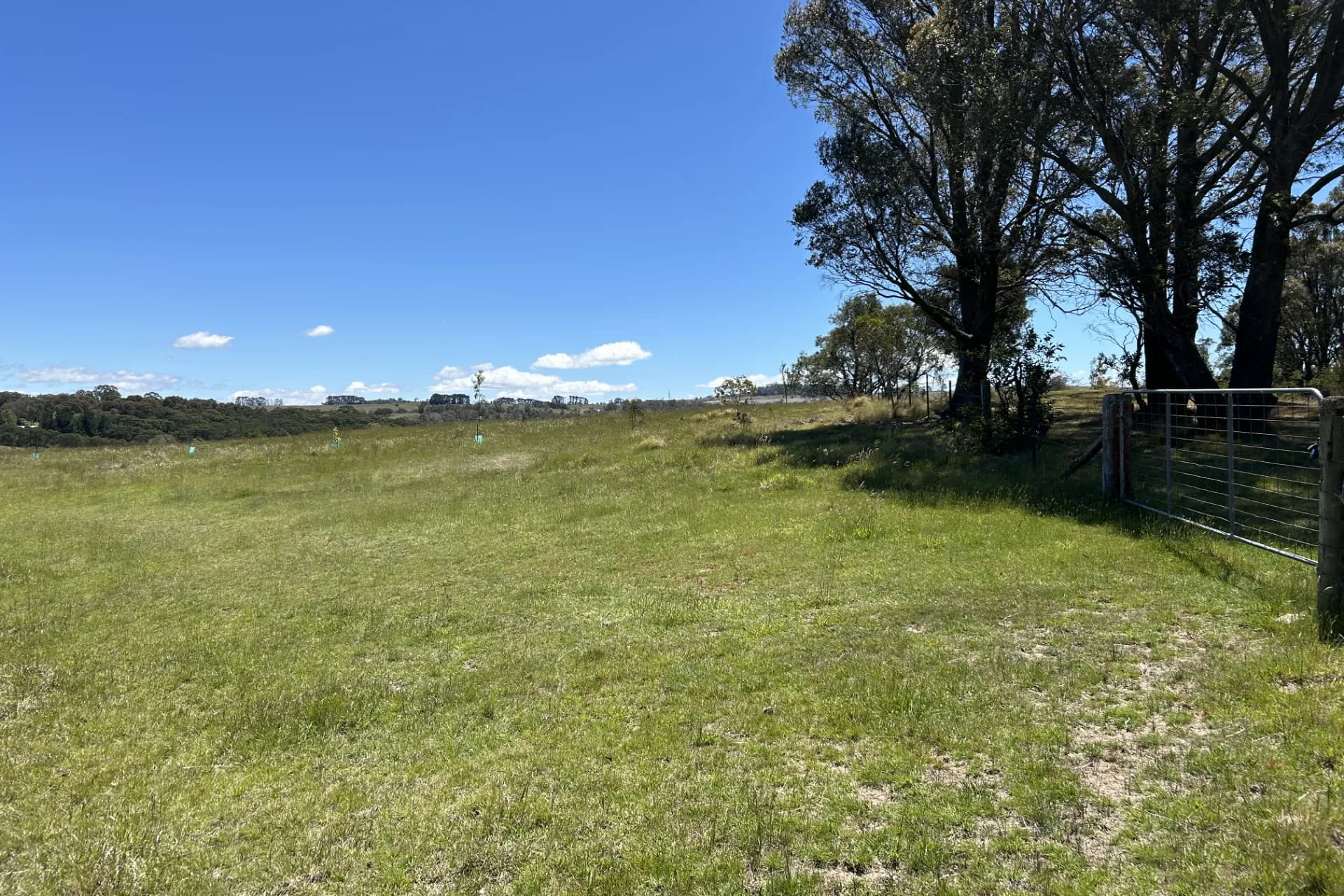1202 Majors Creek Road, Majors Creek, NSW, Majors Creek - Thumbnail 4