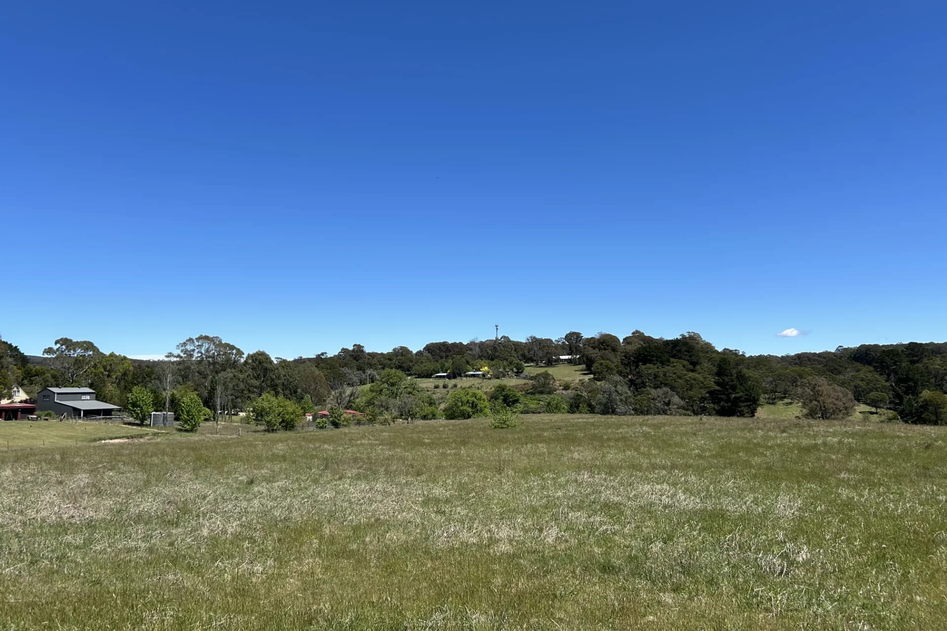 1202 Majors Creek Road, Majors Creek, NSW, Majors Creek - Thumbnail 5