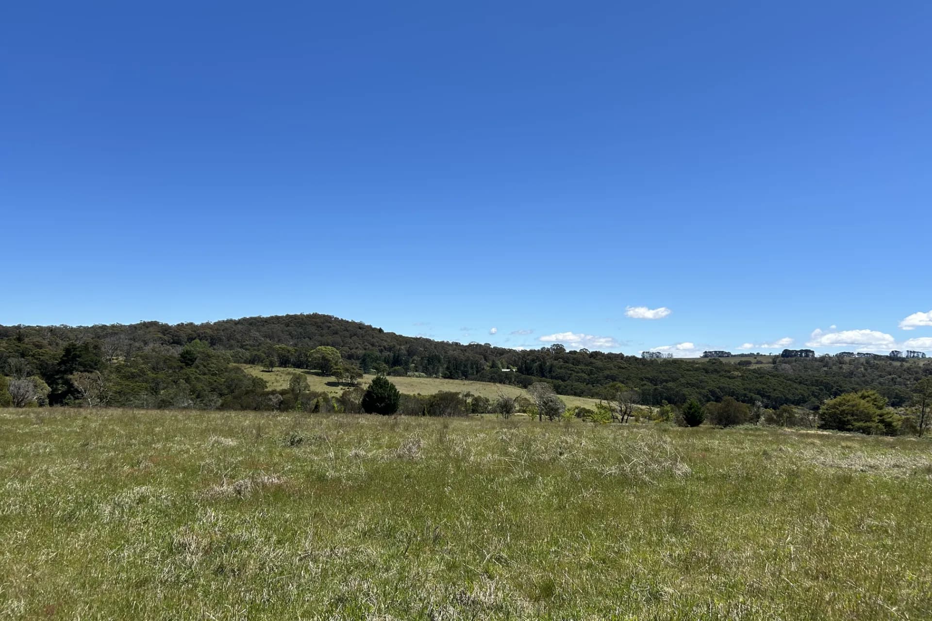 1202 Majors Creek Road, Majors Creek, NSW, Majors Creek - Thumbnail 6