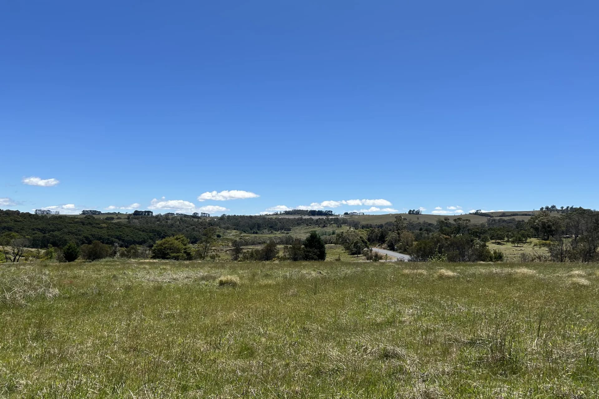 1202 Majors Creek Road, Majors Creek, NSW, Majors Creek - Thumbnail 7