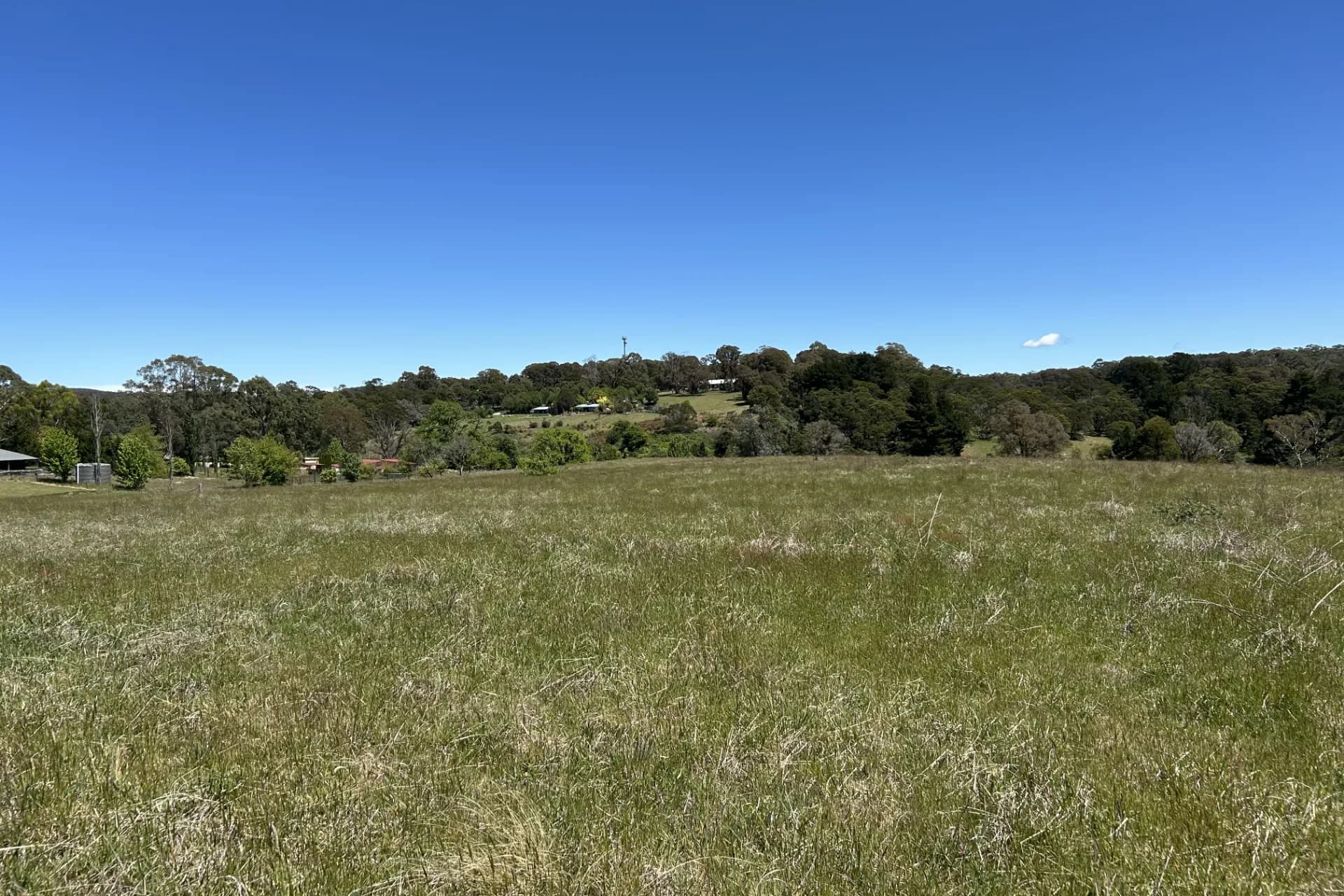 1202 Majors Creek Road, Majors Creek, NSW, Majors Creek - Thumbnail 8