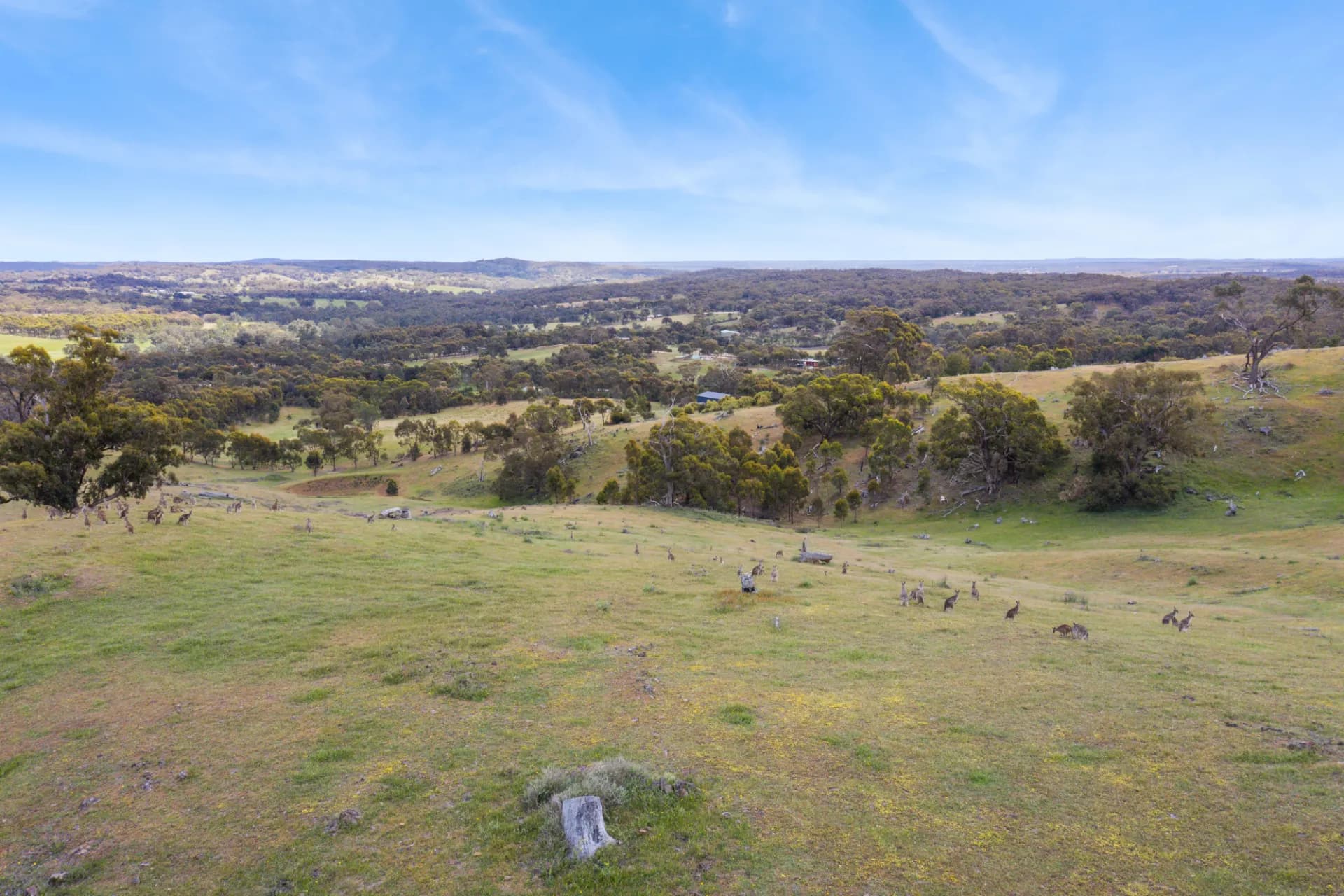 49 Carramar  Drive, Sedgwick, VIC, Sedgwick - Thumbnail 6