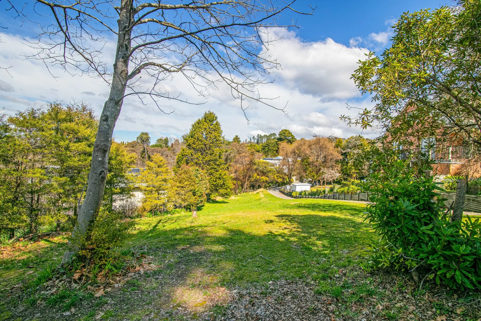 31 Kurrawang Street, Leura, NSW, Leura - Thumbnail 5