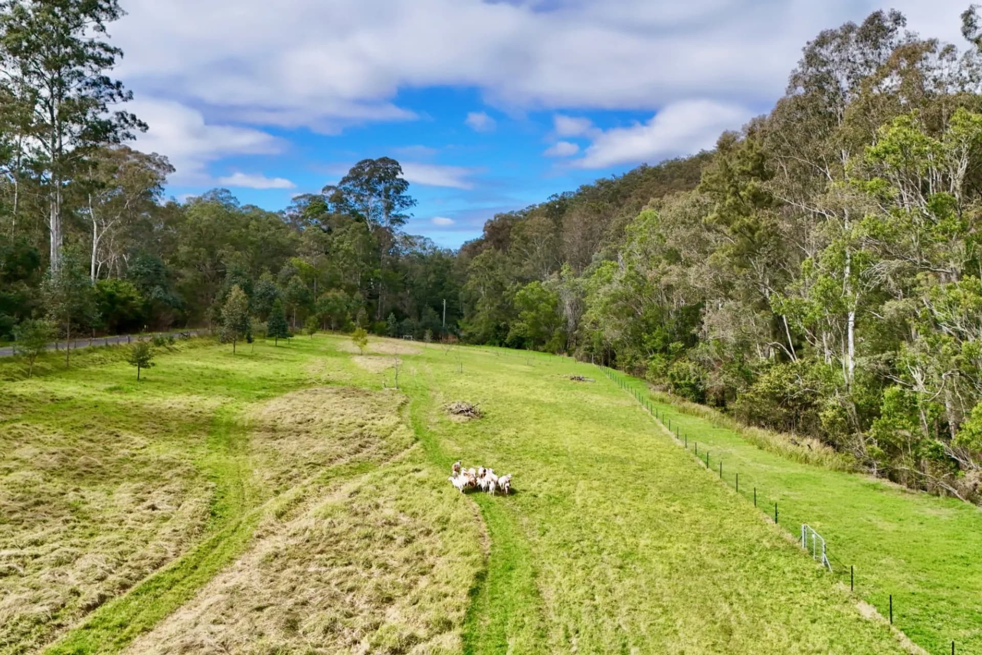 275 Upper Colo Road, Colo, NSW, Central Colo - Thumbnail 7