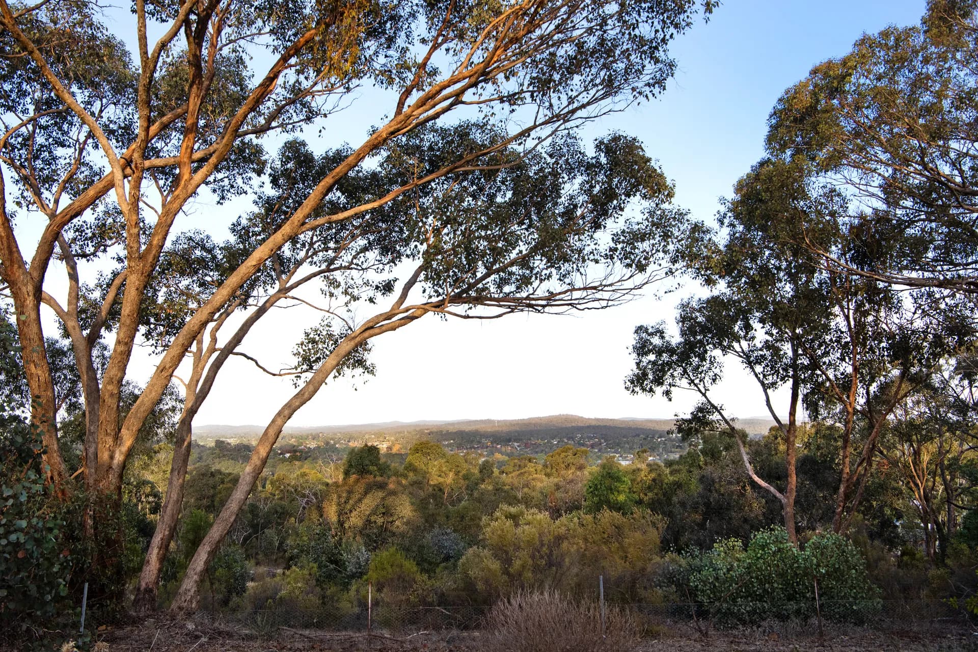64-70 Ireland Street, McKenzie Hill, VIC, McKenzie Hill - Thumbnail 4