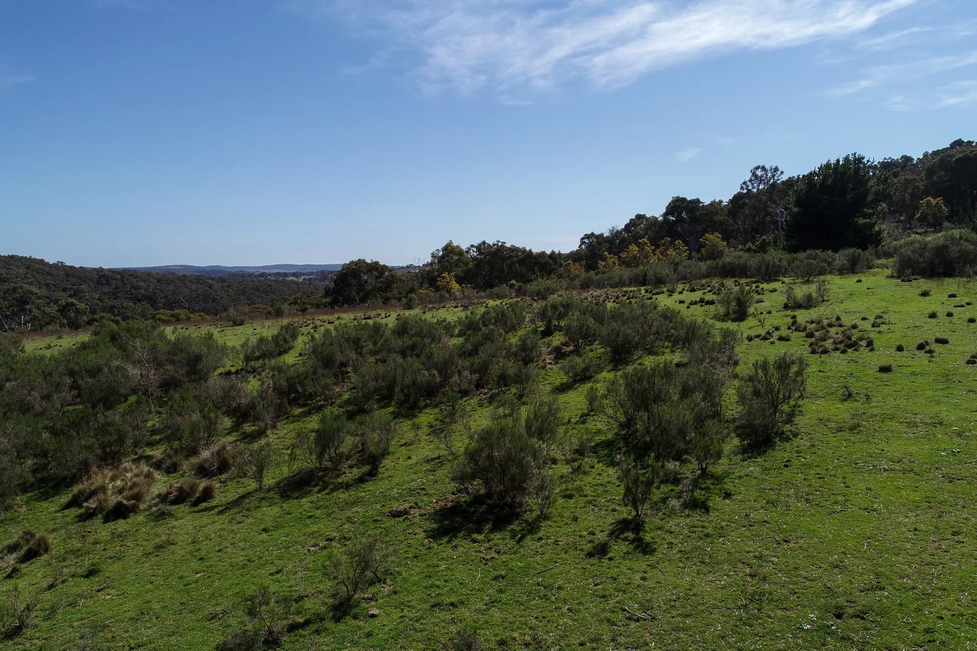 Lot 3 Coolabah Drive, Orange, NSW, Clifton Grove - Thumbnail 6