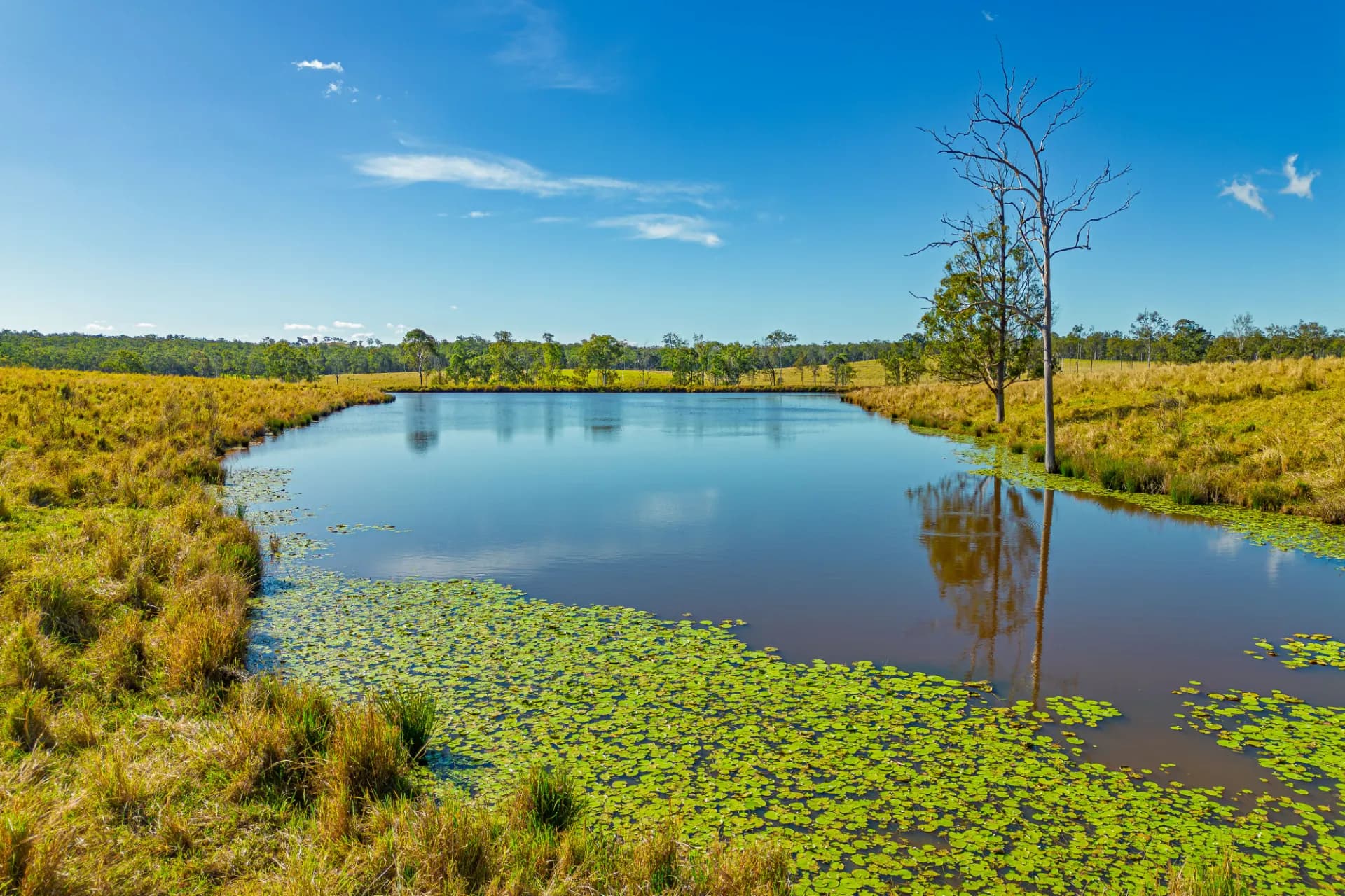 667 Beckmanns Road, Glenwood, QLD, Glenwood - Thumbnail 3