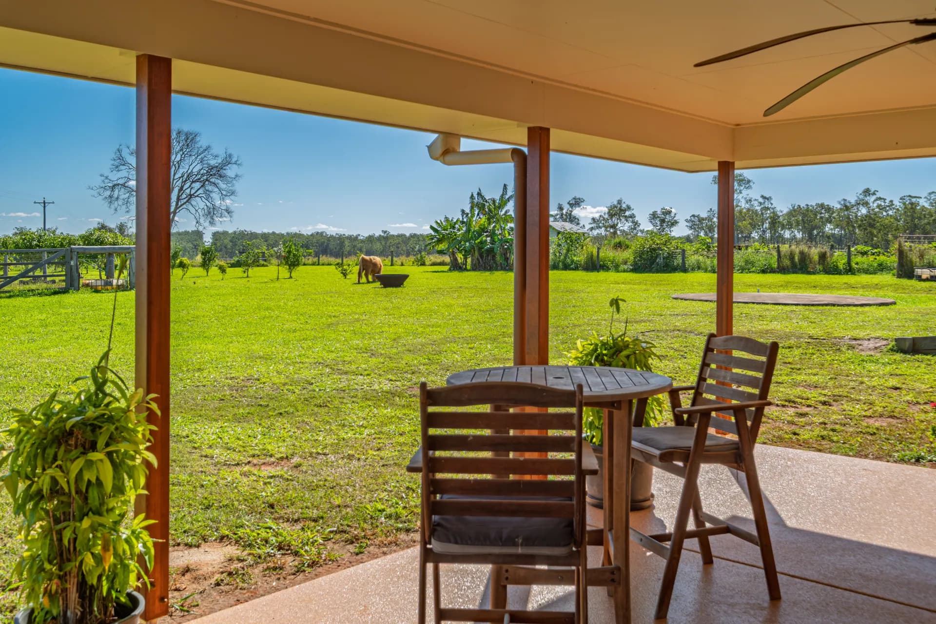 667 Beckmanns Road, Glenwood, QLD, Glenwood - Thumbnail 4