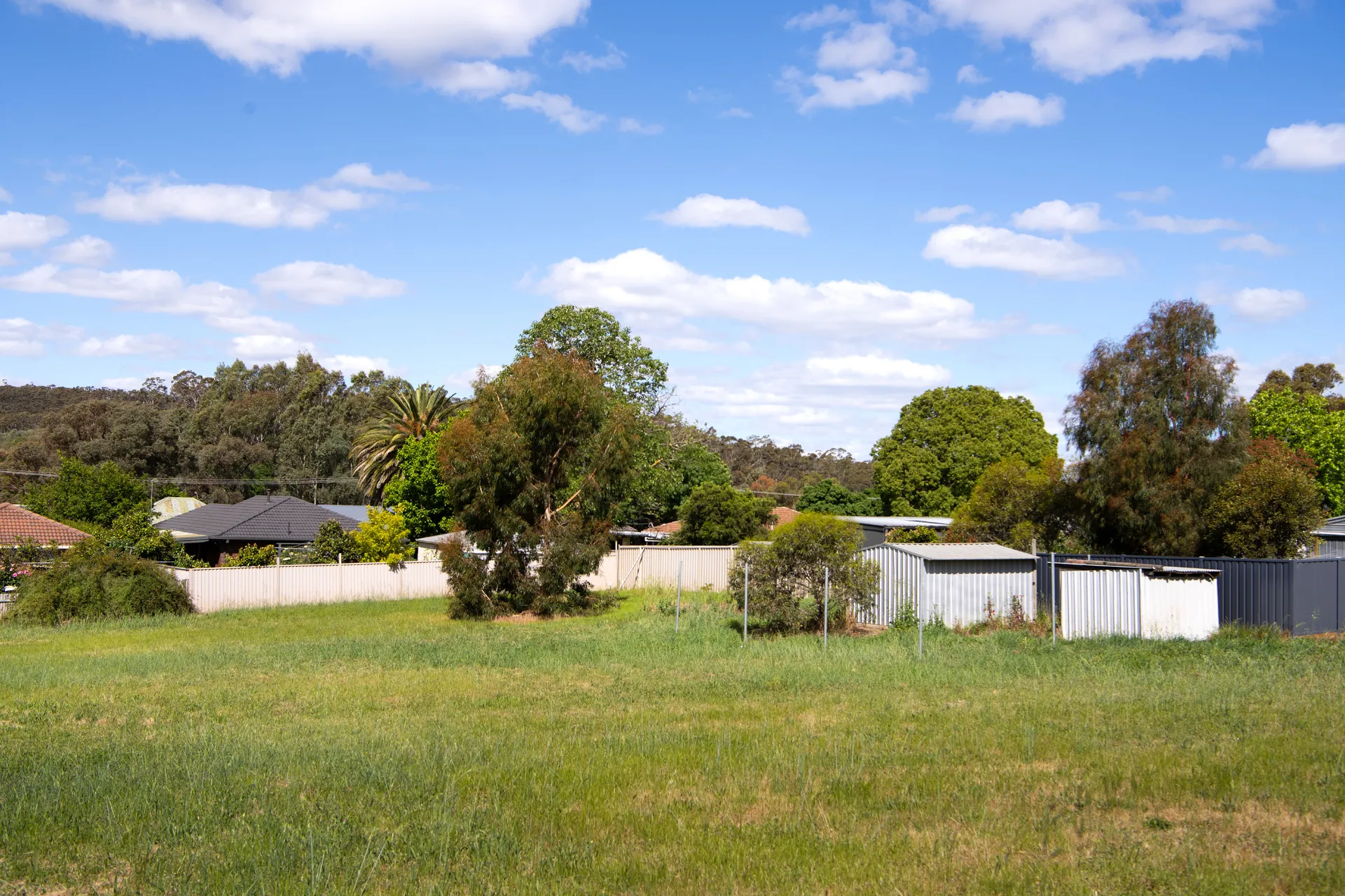 1 Wallace Street, Castlemaine, VIC, Castlemaine - Thumbnail 5