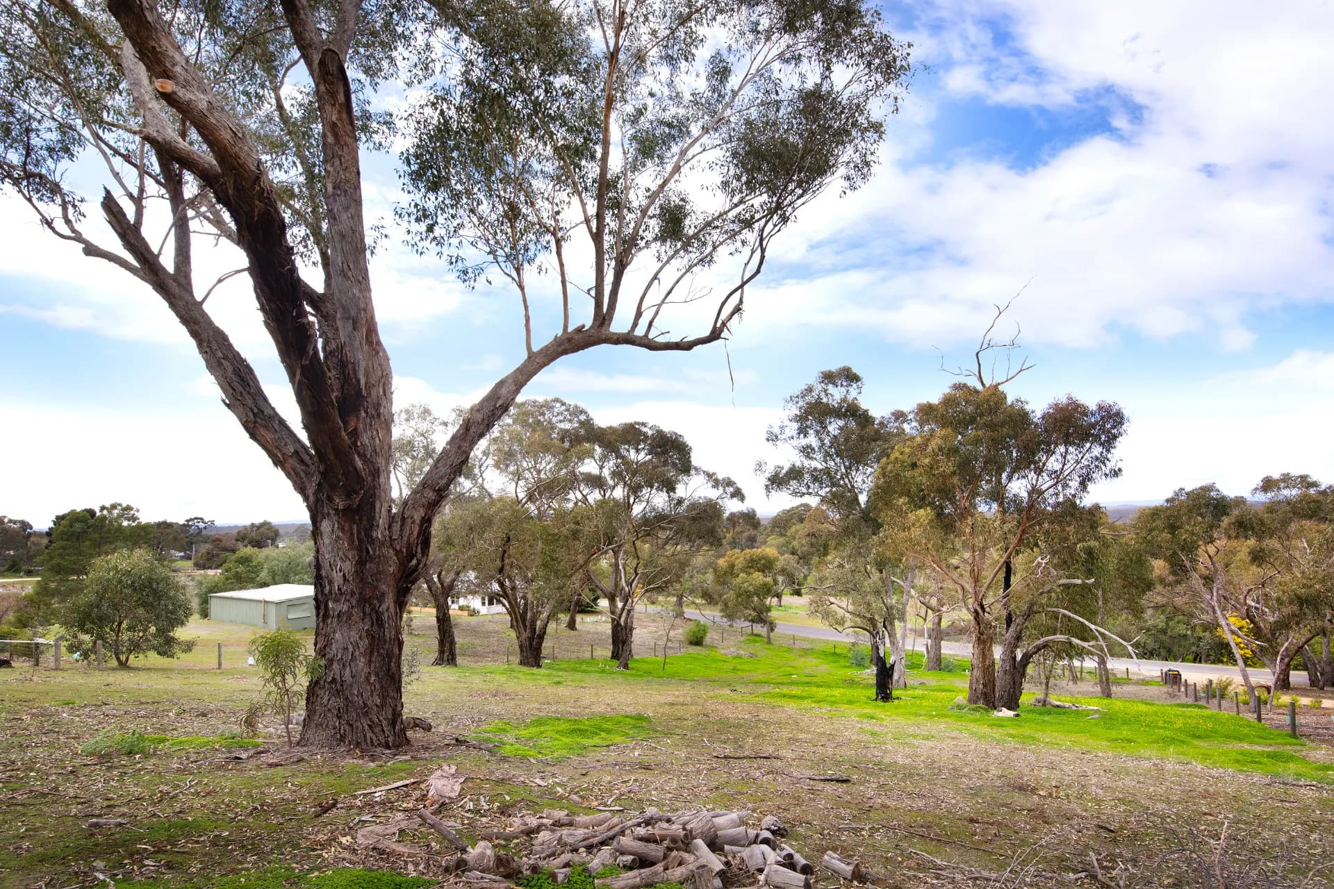 92 Parkins Reef Road, Maldon, VIC, Maldon - Thumbnail 5