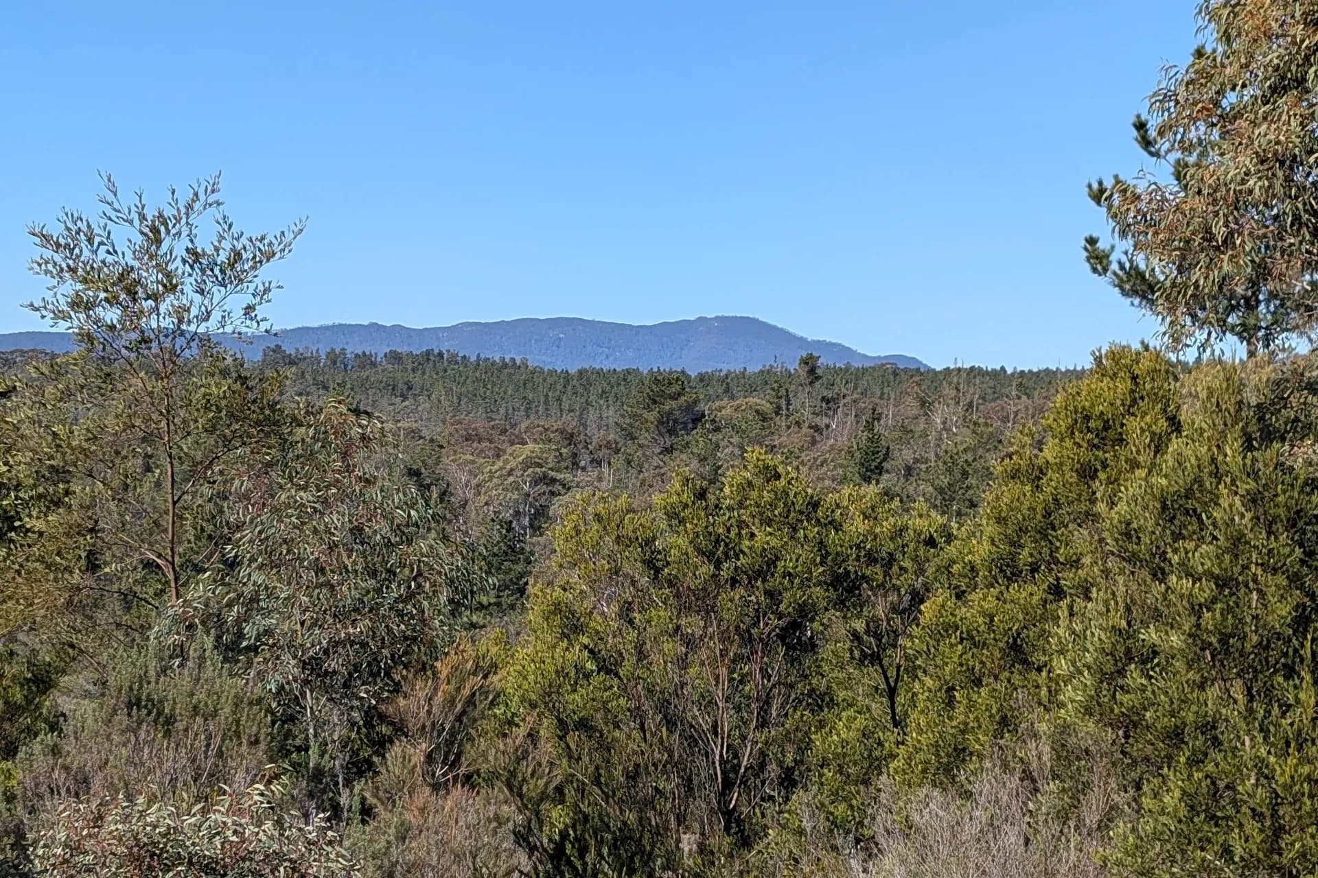 84 Hockey Lane, Braidwood, NSW, Durran Durra - Thumbnail 7