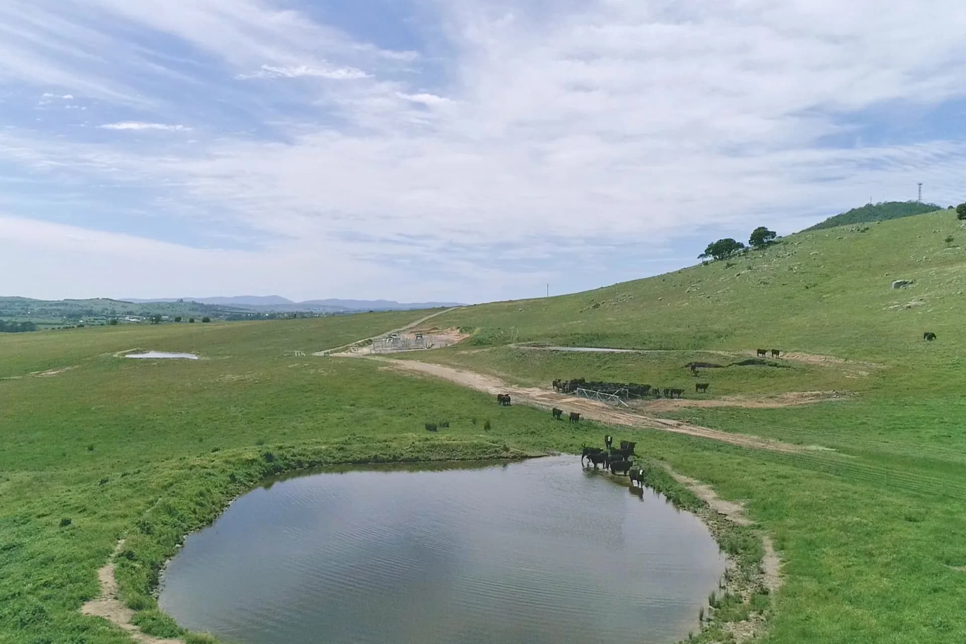 94 Reservoir Lane, Braidwood, NSW, Braidwood - Thumbnail 2