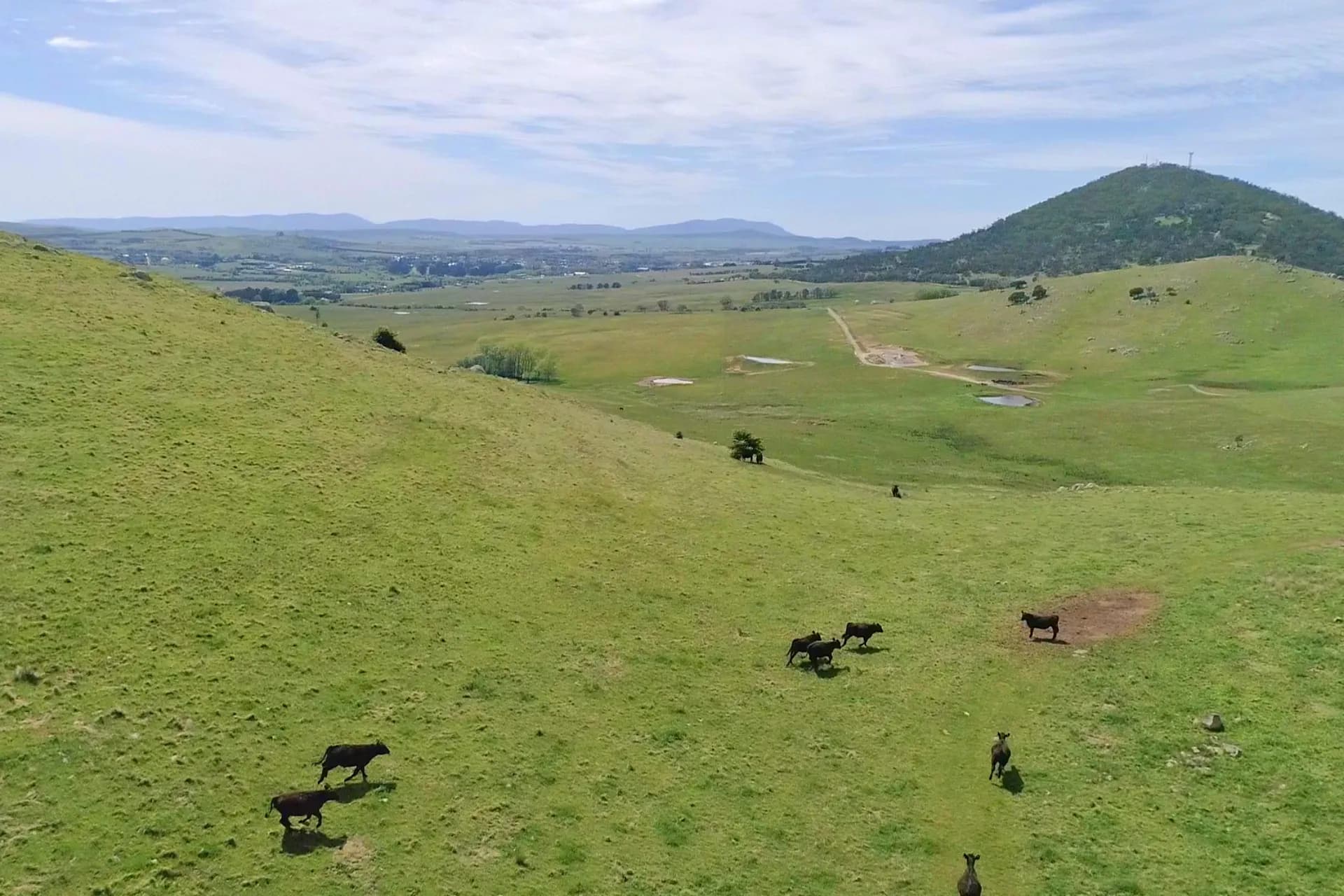94 Reservoir Lane, Braidwood, NSW, Braidwood - Thumbnail 8