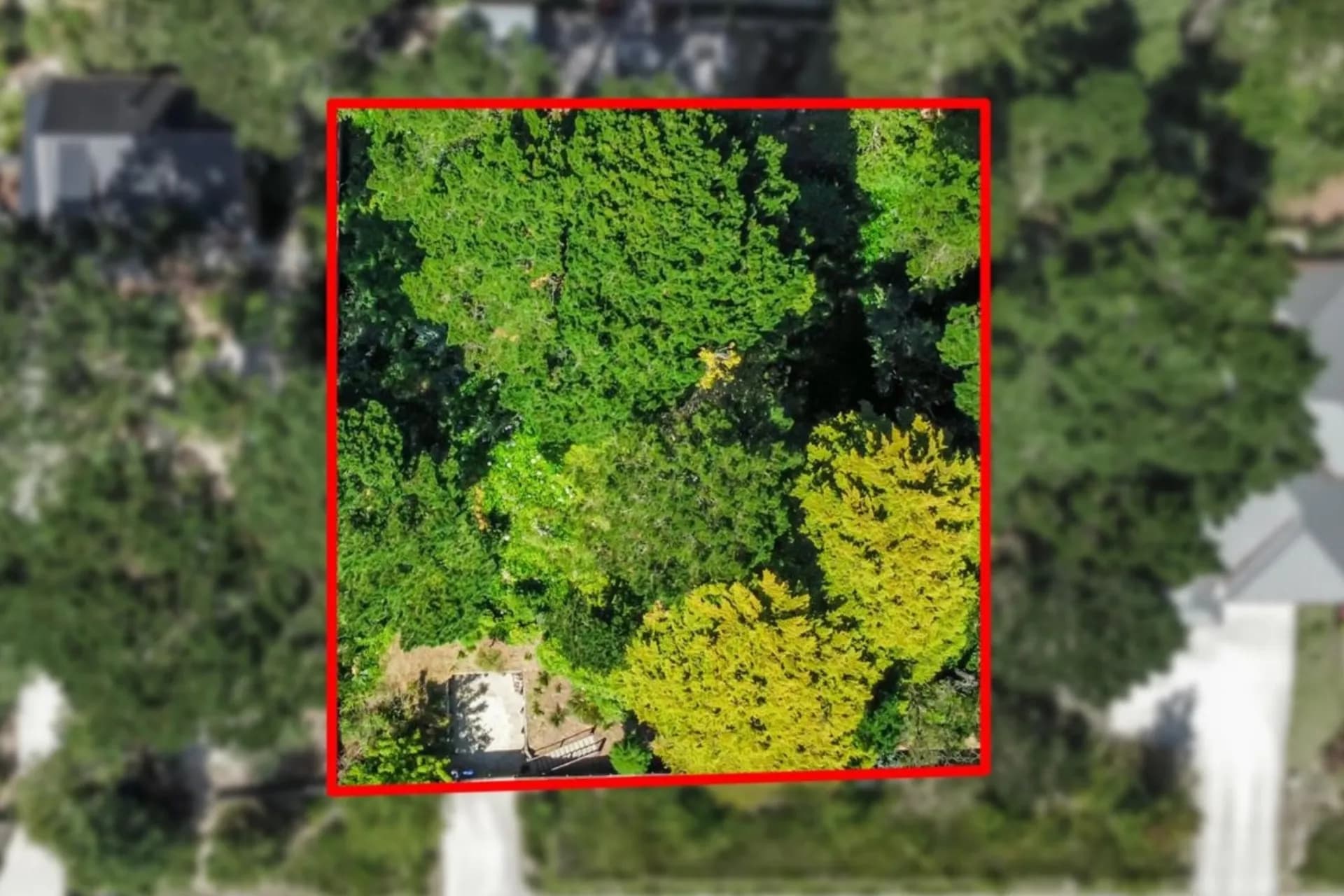 124 -126 Great Western  Highway, Wentworth Falls, NSW, Wentworth Falls - Thumbnail 4