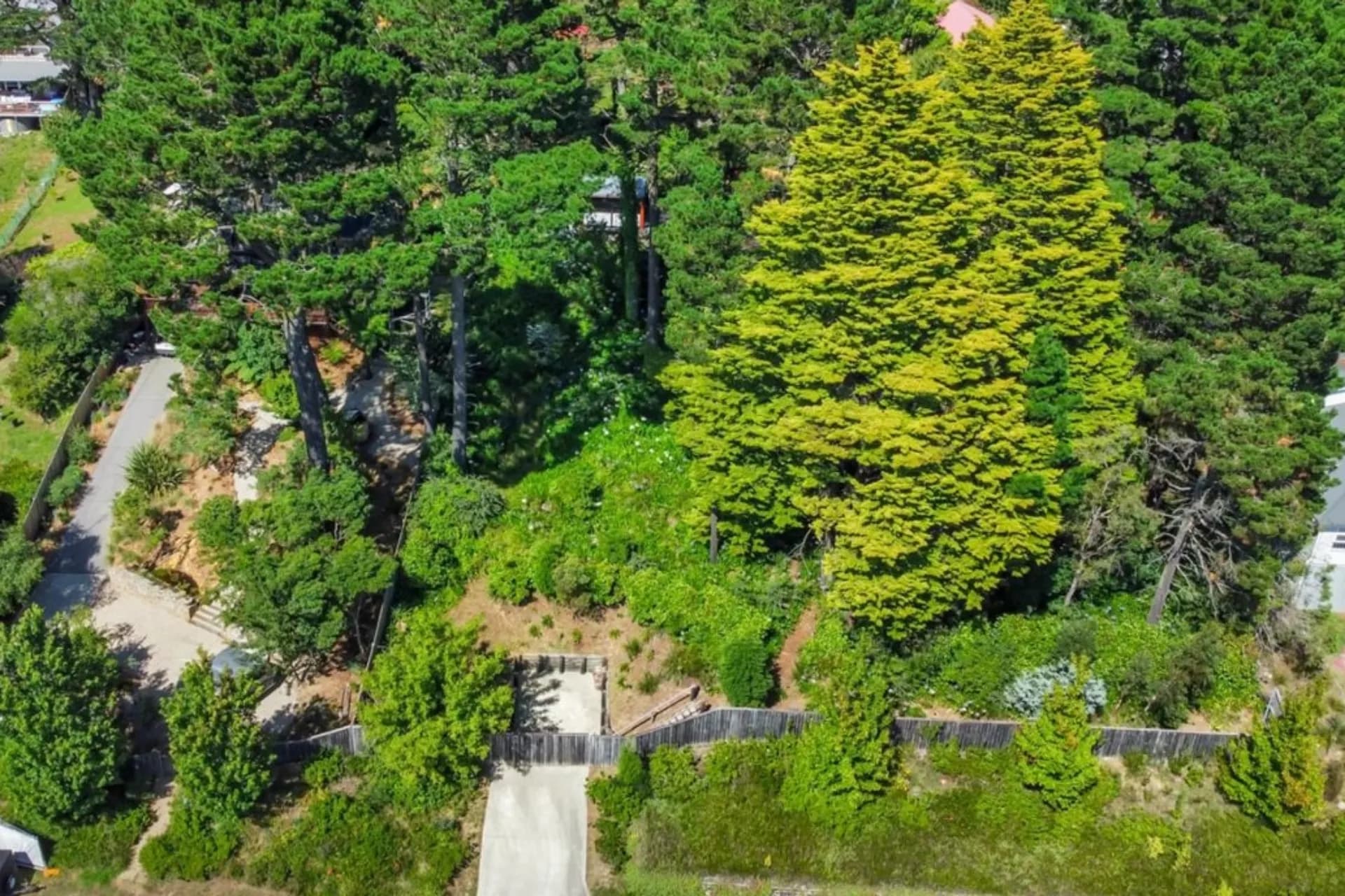 124 -126 Great Western  Highway, Wentworth Falls, NSW, Wentworth Falls - Thumbnail 3