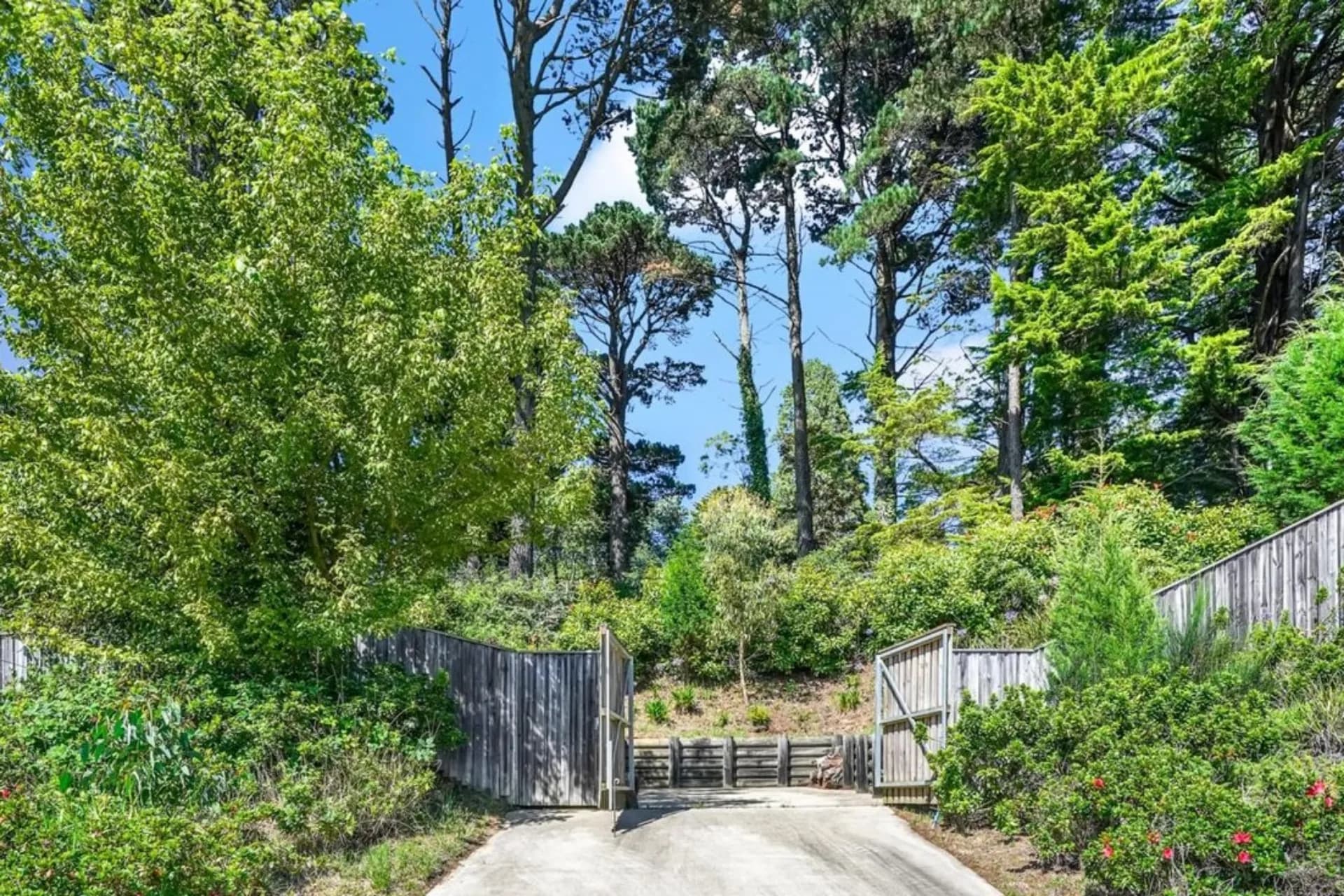 124 -126 Great Western Highway, Wentworth Falls, NSW, Wentworth Falls - Image 1