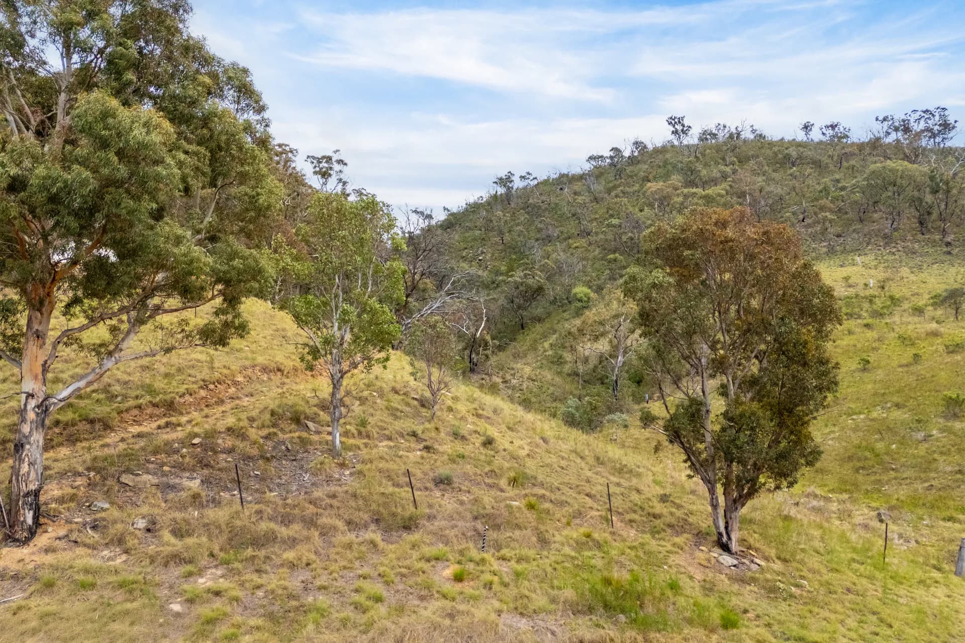97 Downstream Road, Bumbalong, NSW, Bumbalong - Thumbnail 6