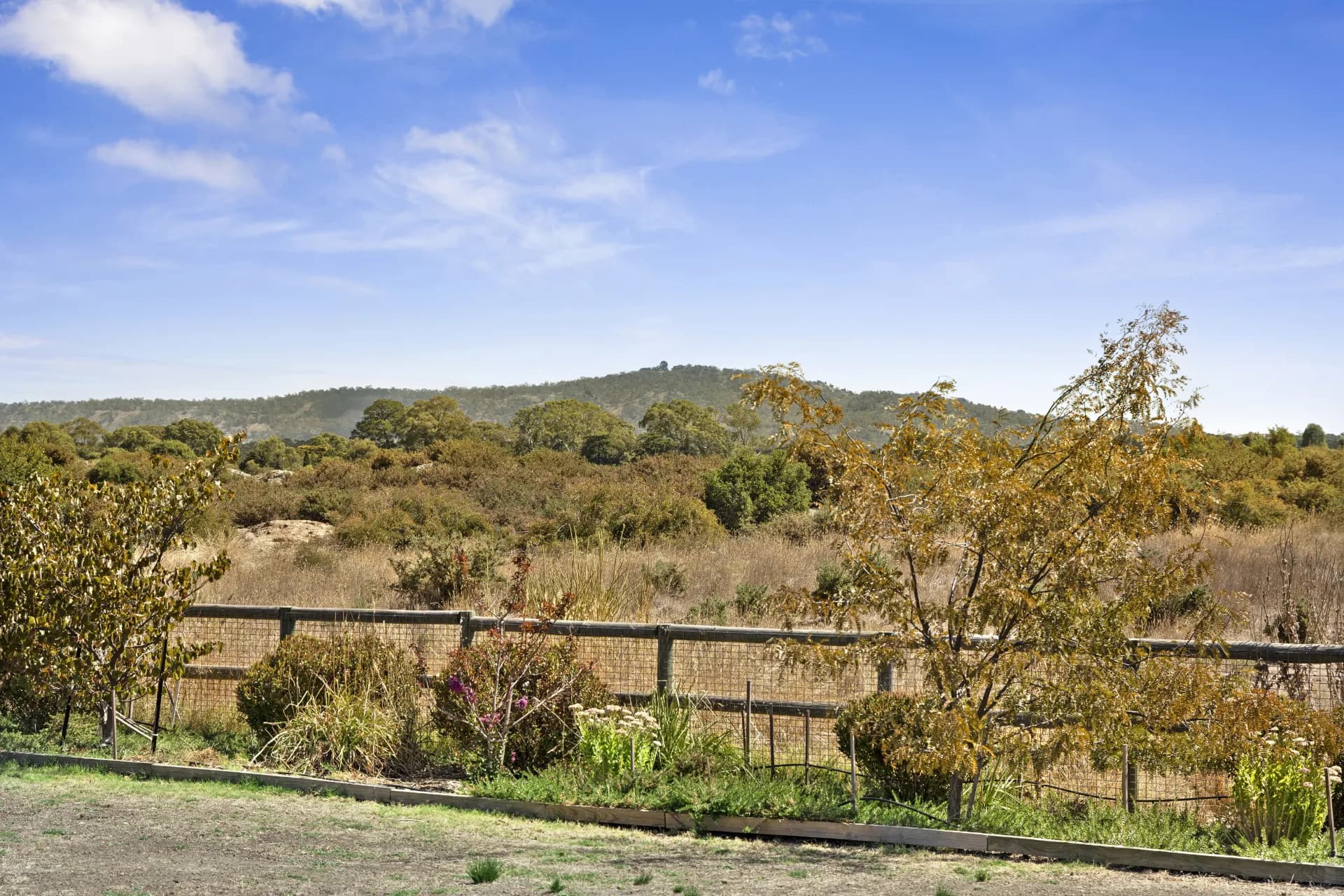 1 Albert Street, Clunes, VIC, Clunes - Thumbnail 7
