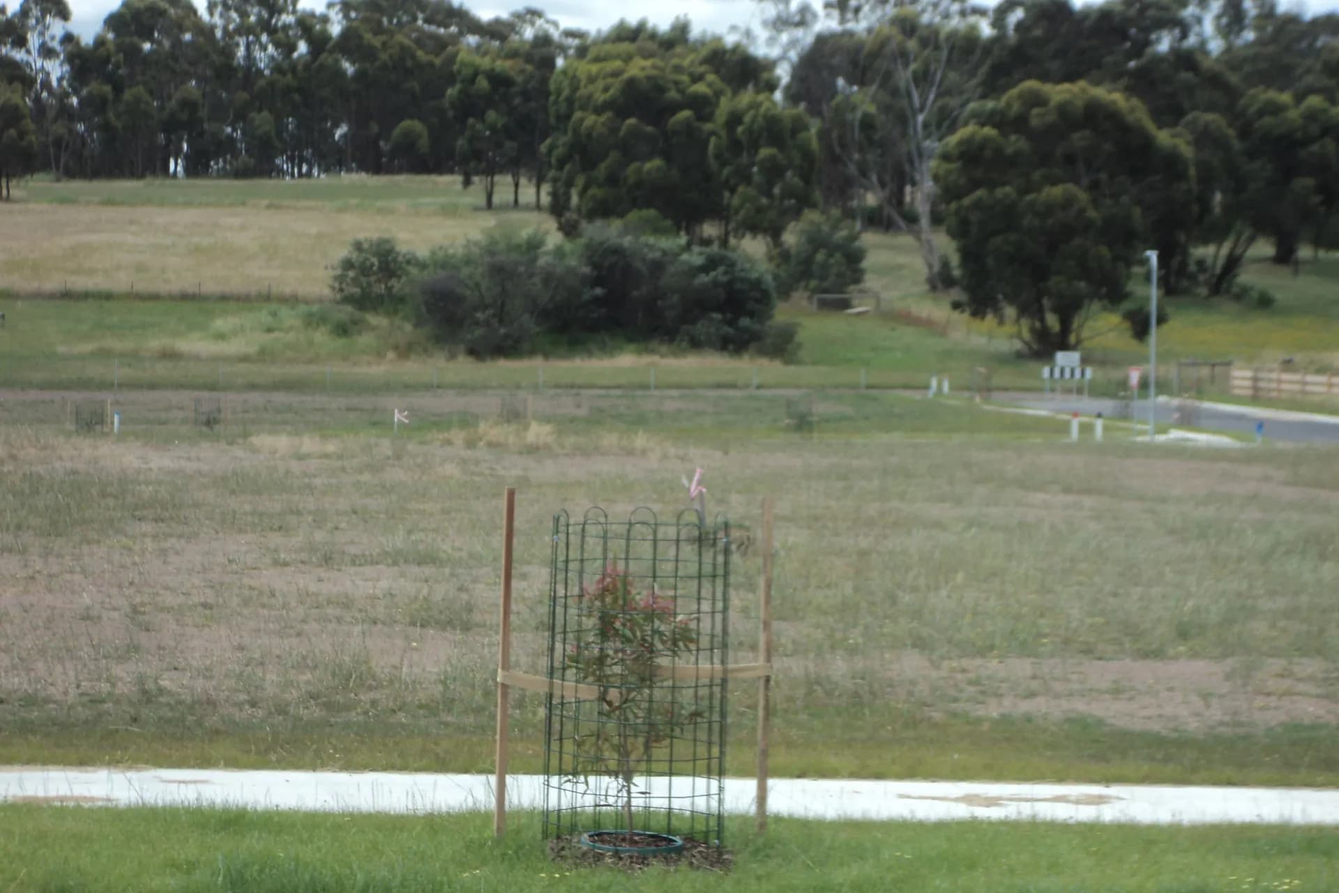 Lot 40, 4 Conductor  Street, Seymour, VIC, Seymour - Thumbnail 3