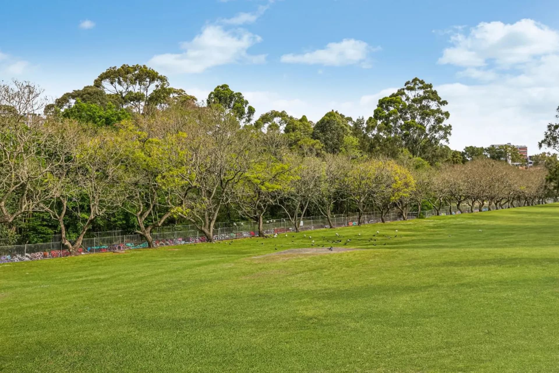 16/16-20 Warialda Street, Kogarah - Thumbnail 5