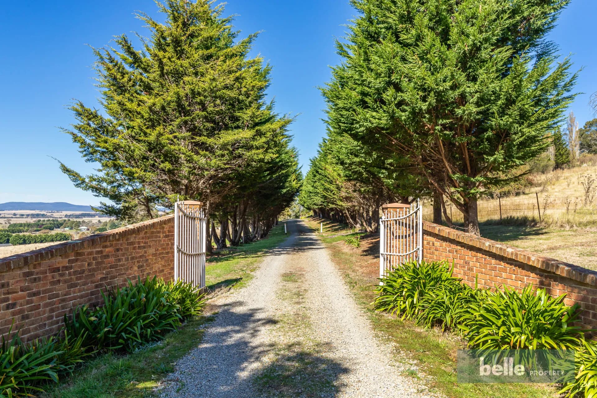 118 Gillamatong Lane, Braidwood, NSW, Braidwood - Thumbnail 4