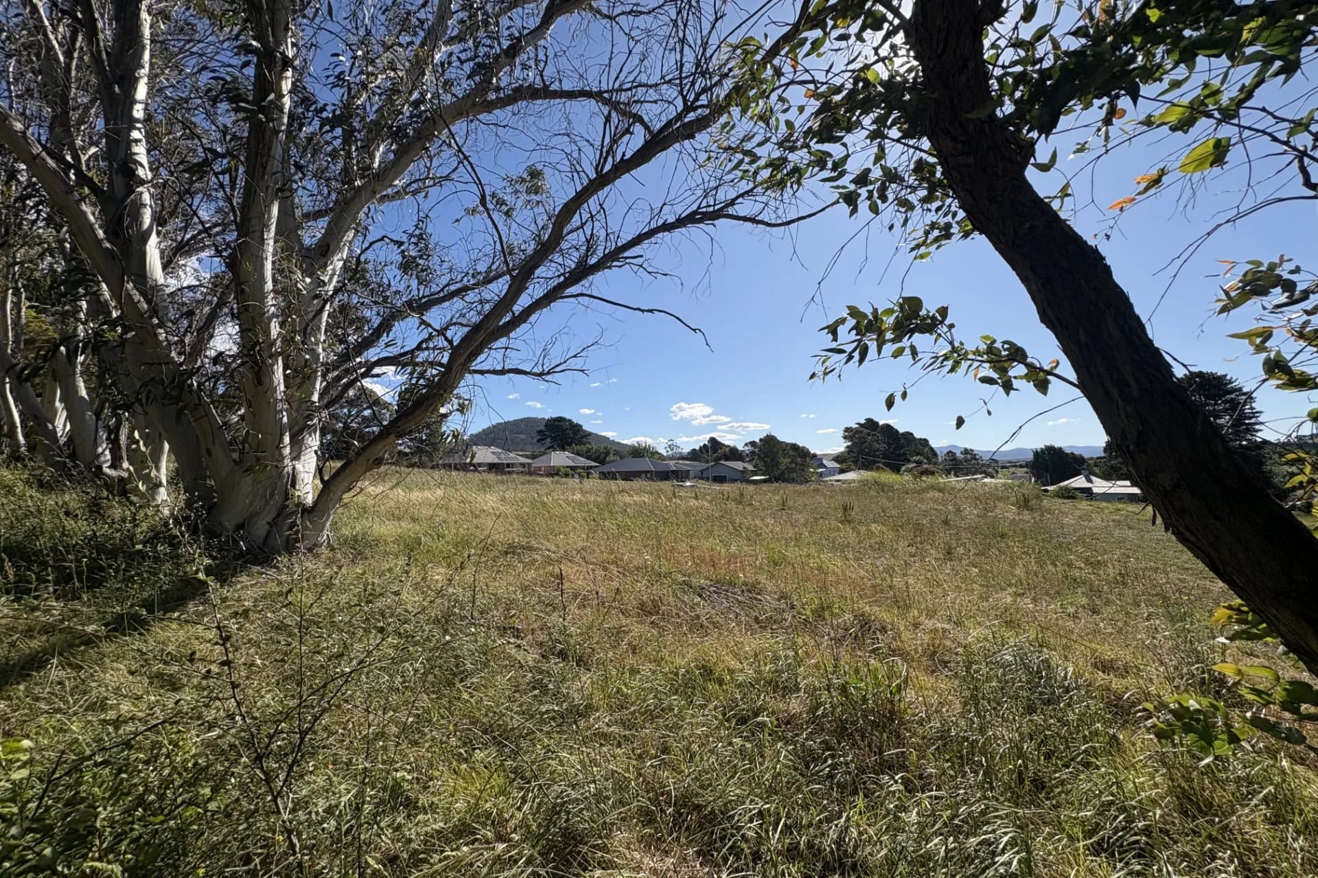 3 Maddrell  Place, Braidwood, NSW, Braidwood - Thumbnail 8