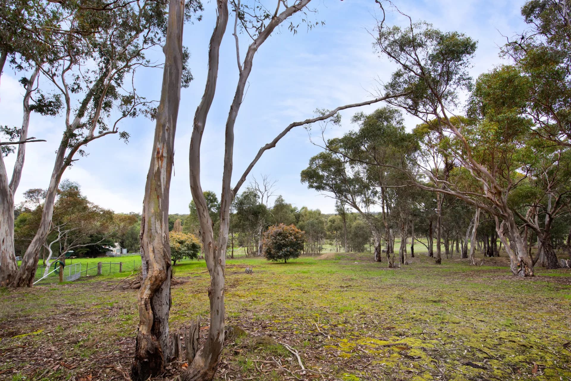 2581 Pyrenees Highway, Green Gully - Thumbnail 4
