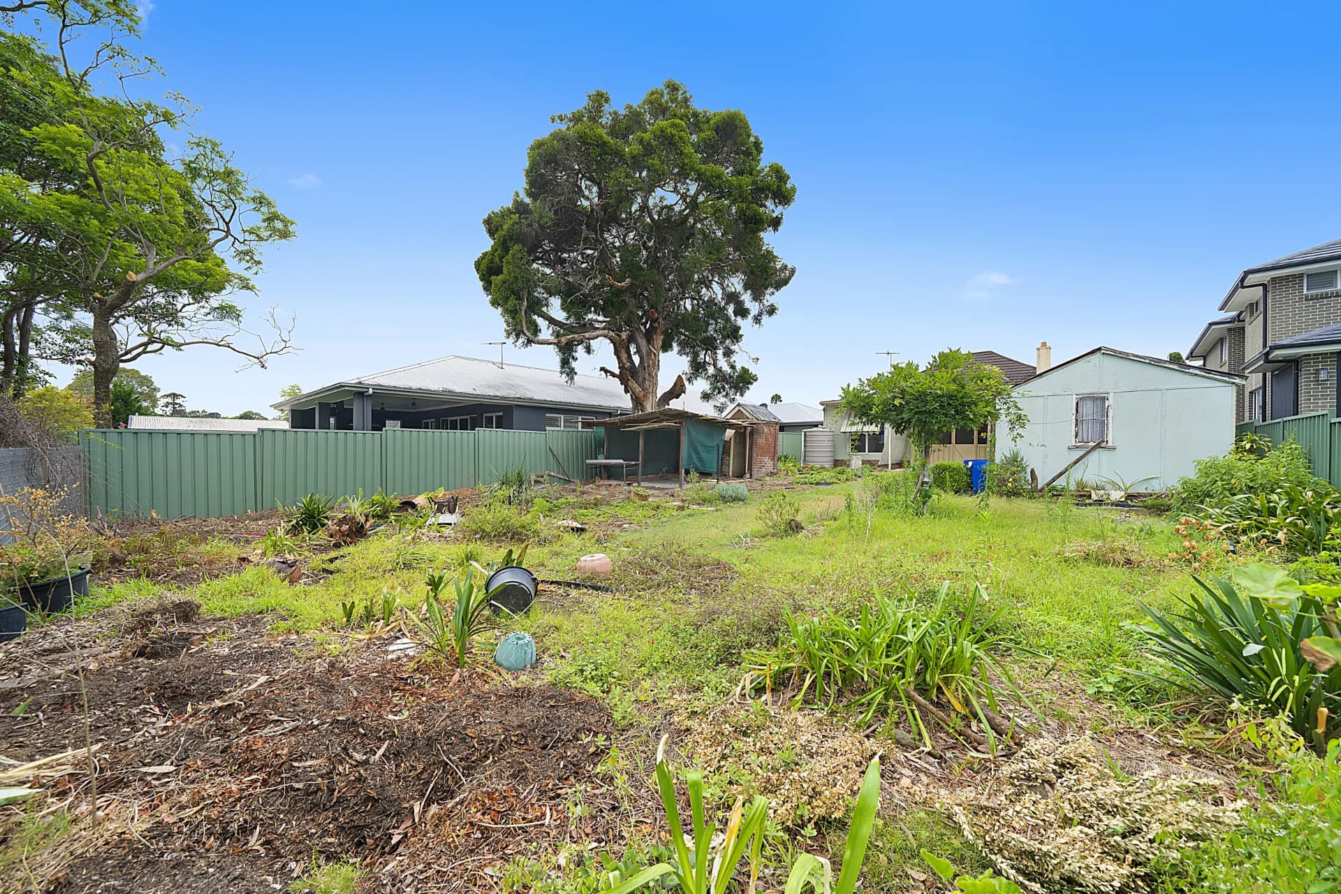 23 Darcy  Avenue, Lidcombe, NSW, Lidcombe - Thumbnail 3