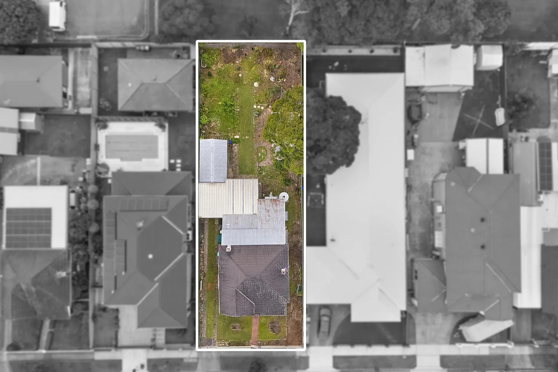 23 Darcy  Avenue, Lidcombe, NSW, Lidcombe - Thumbnail 5