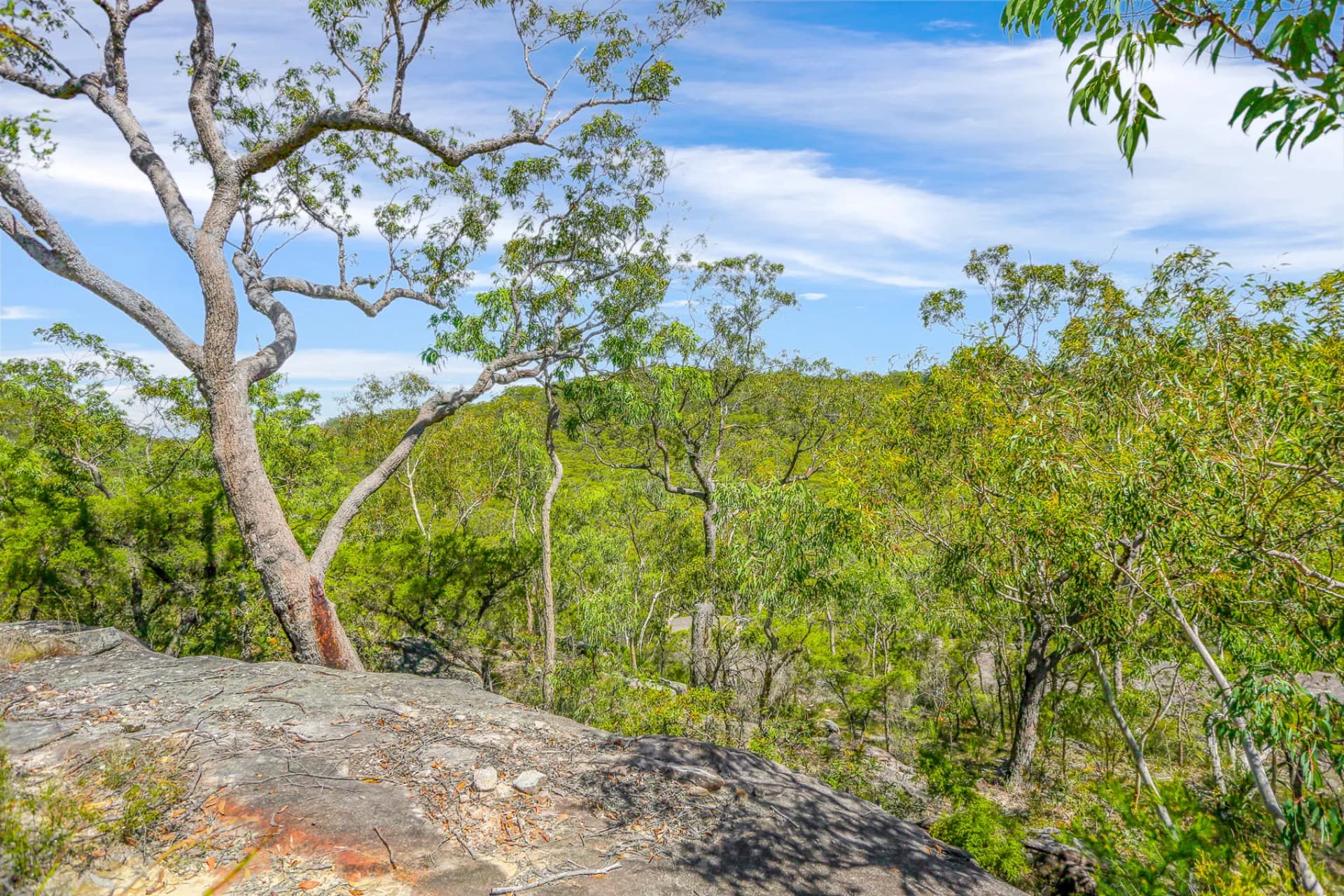 7 Marra Avenue, Canoelands, NSW, Canoelands - Thumbnail 7